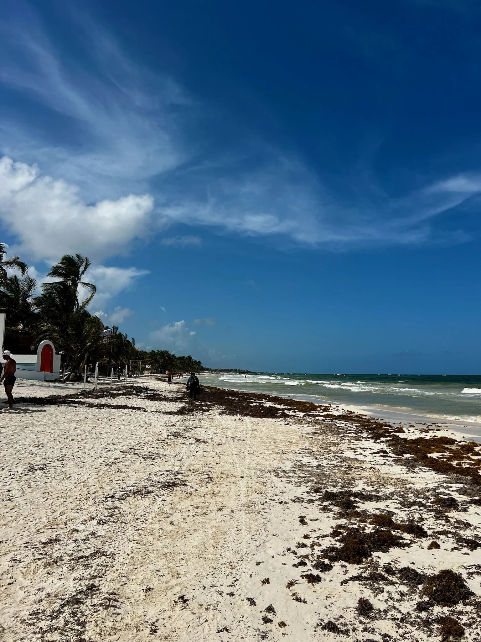 Copy of IMG_1485.JPG