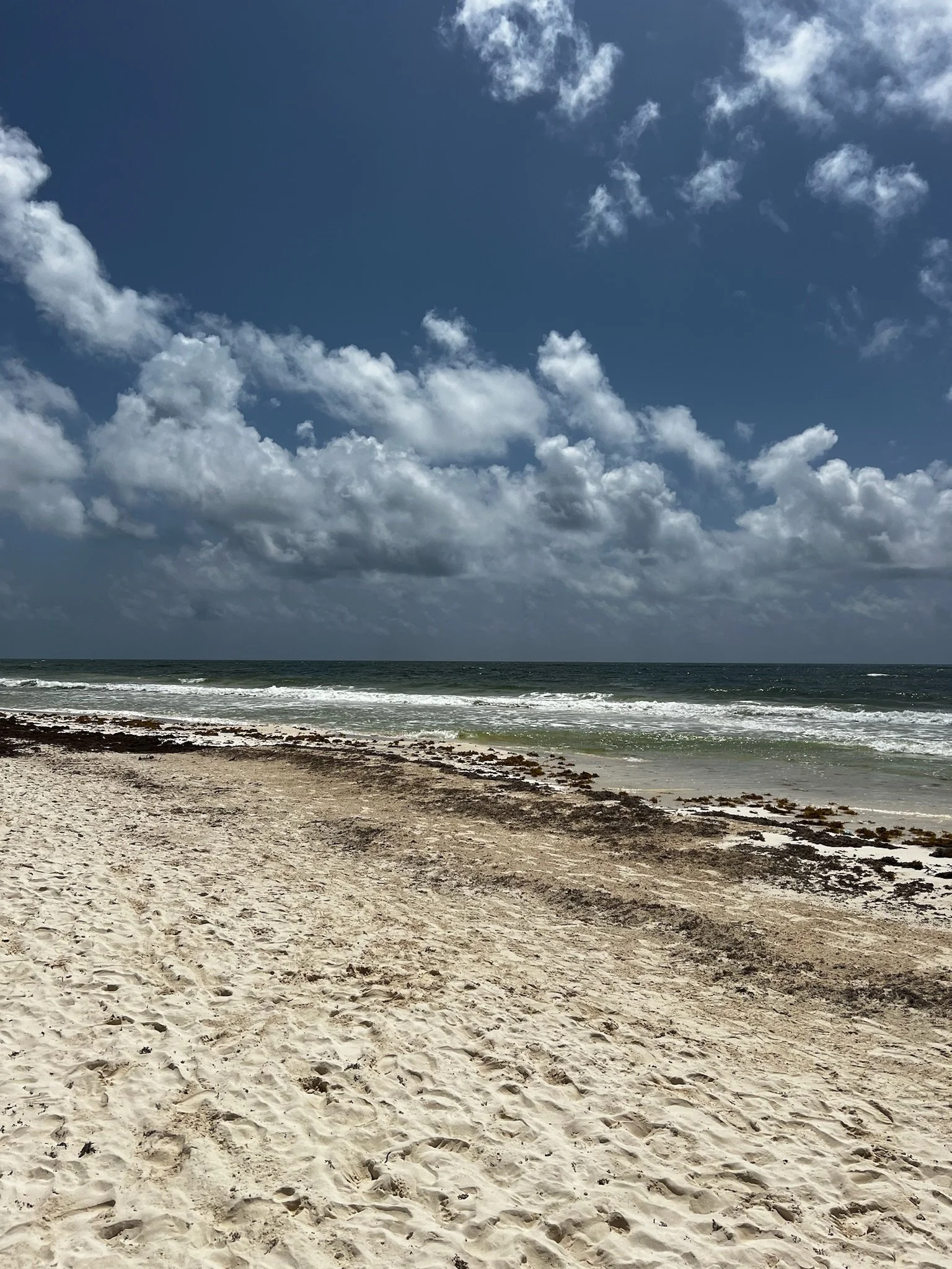 Copy of IMG_1393.JPG