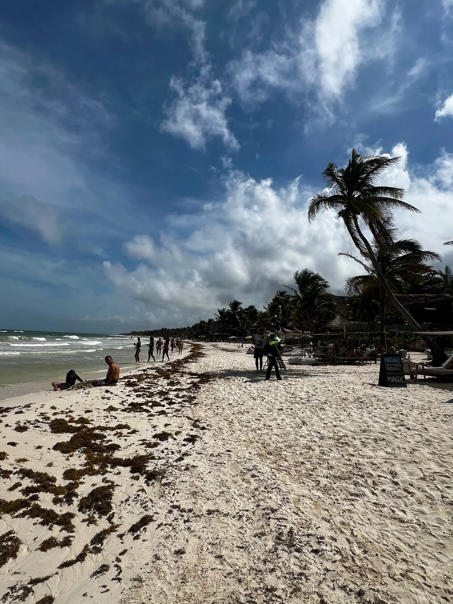 Copy of IMG_1488.JPG