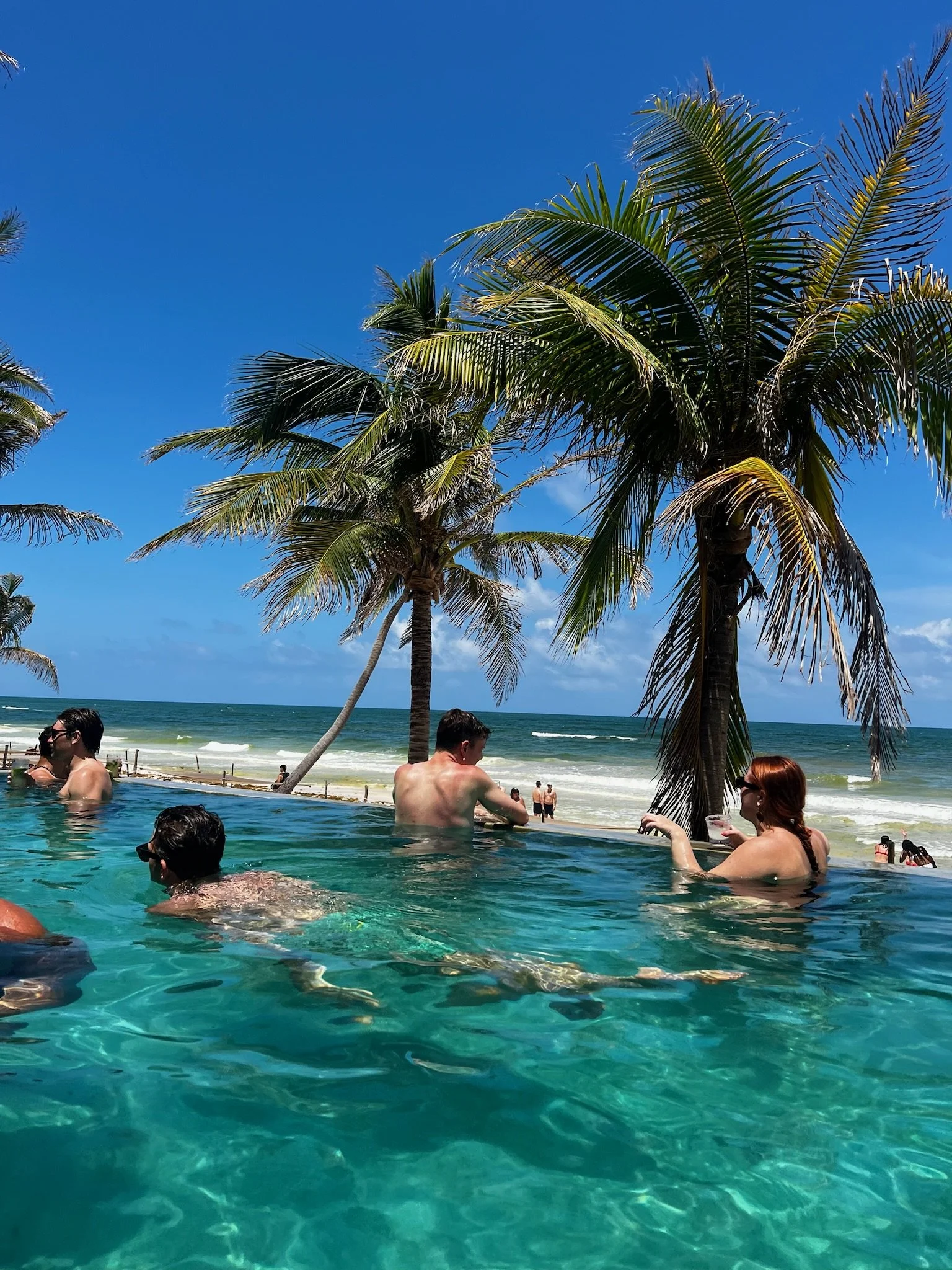 Copy of IMG_1482.JPG