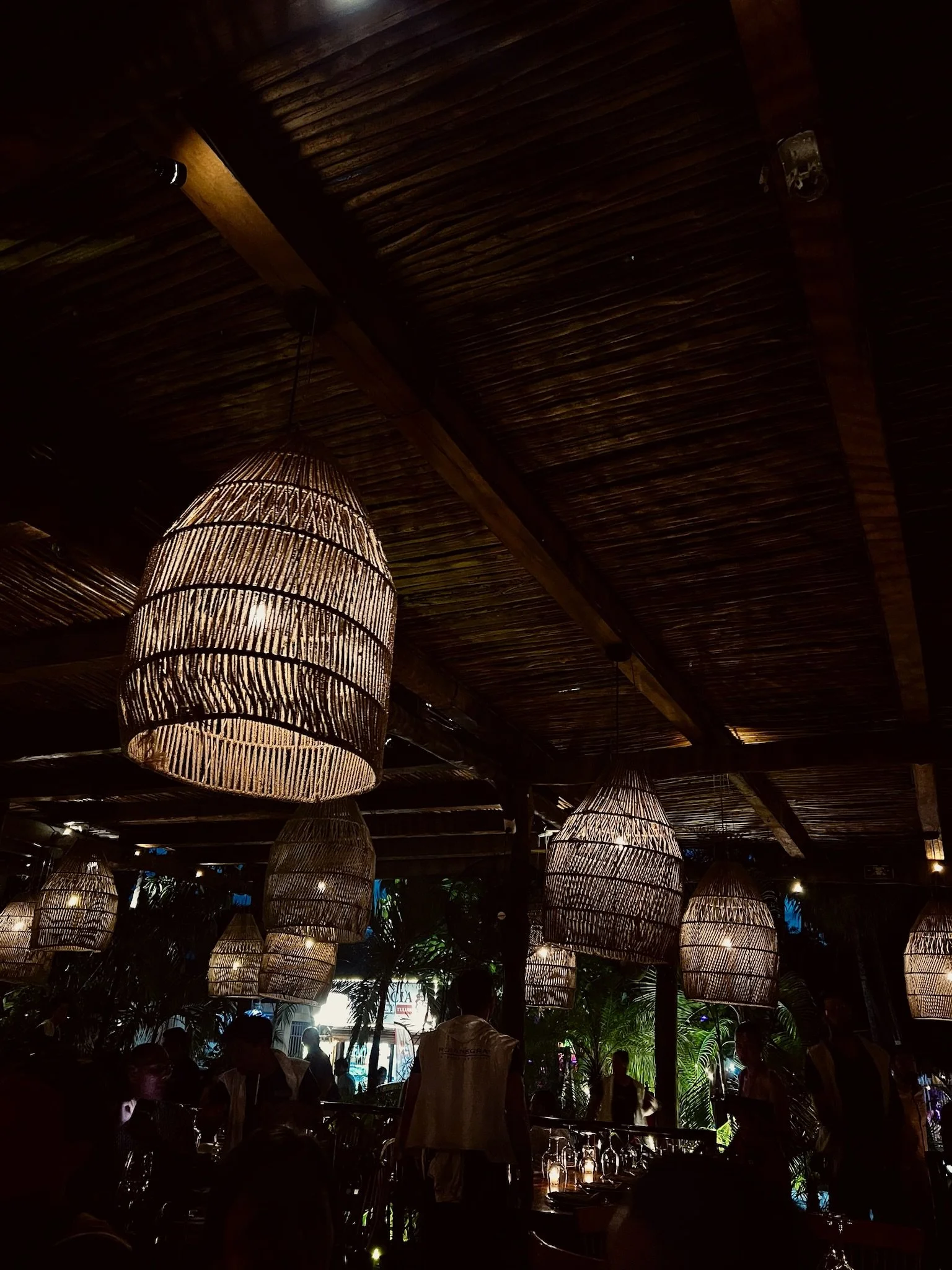 Copy of IMG_1511.JPG