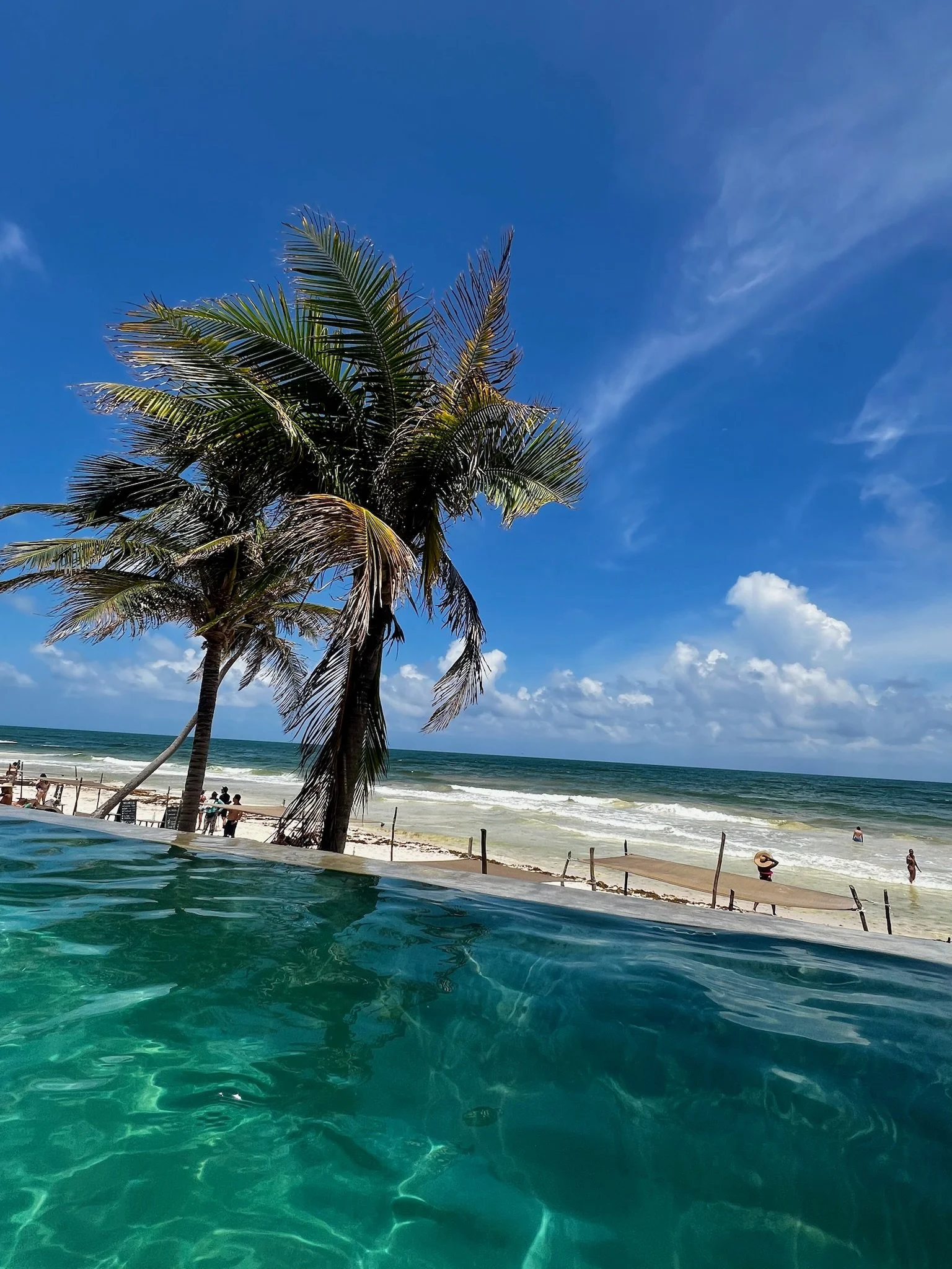 Copy of IMG_1483.JPG