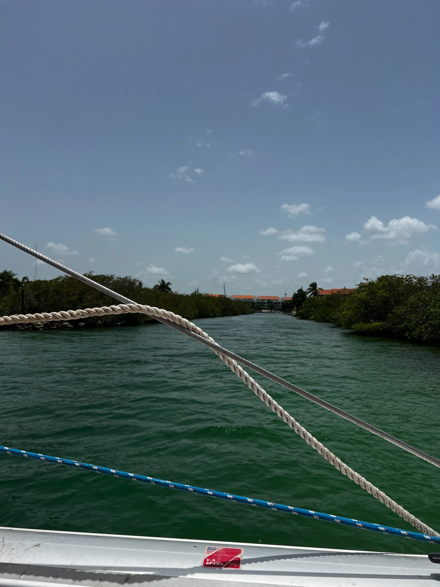 Copy of IMG_1343.JPG