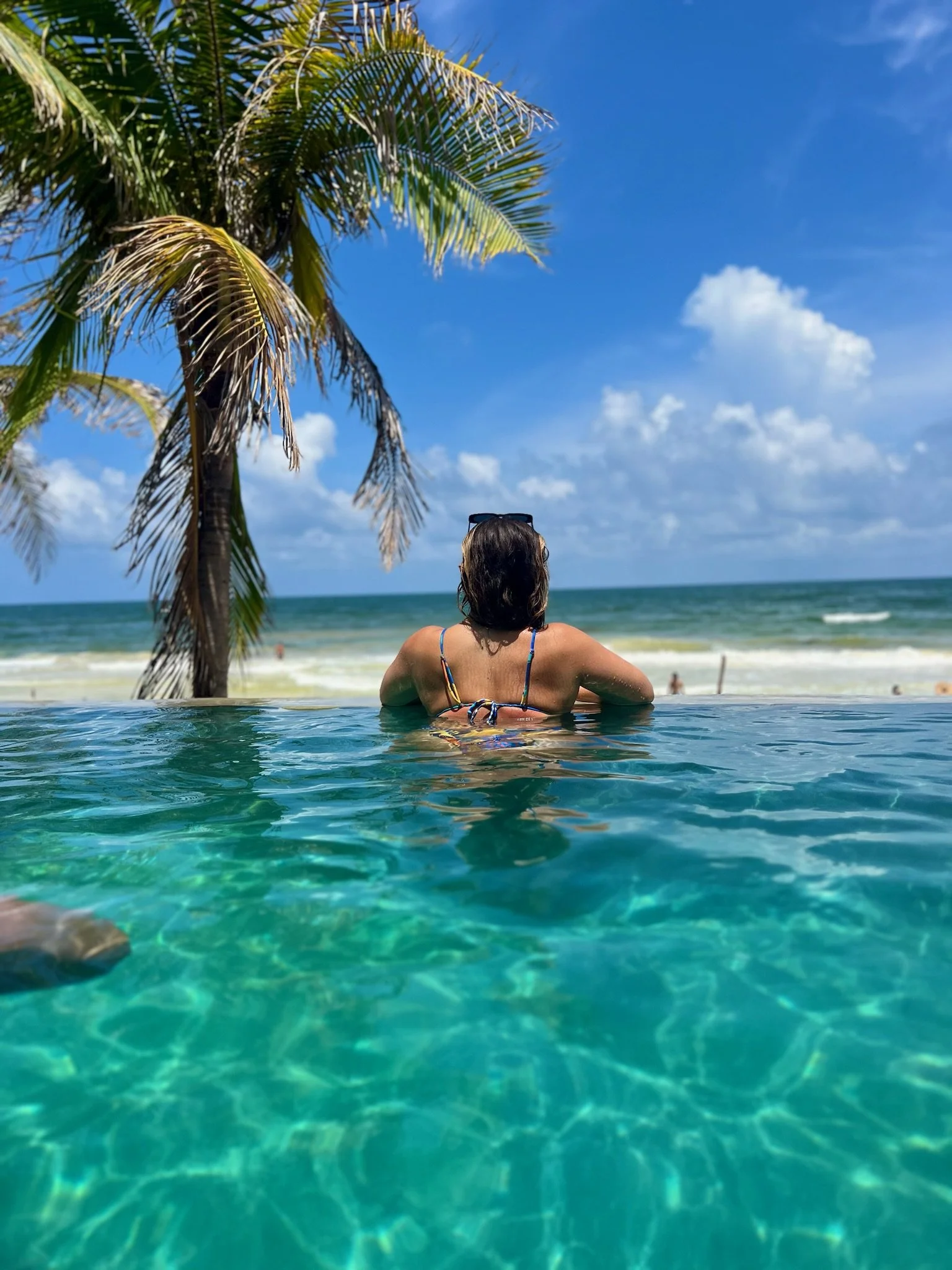 Copy of IMG_1475.JPG