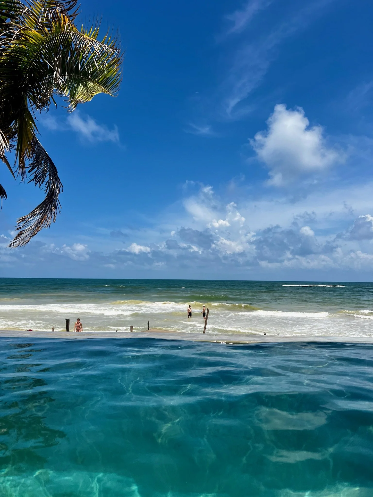 Copy of IMG_1463.JPG