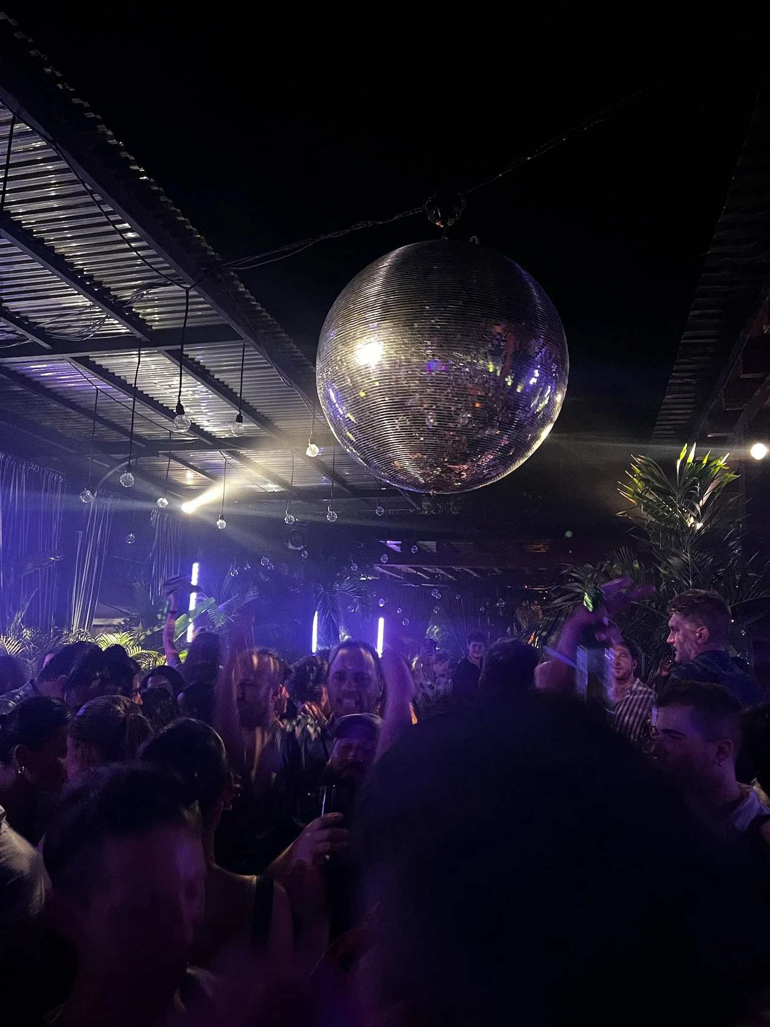 Copy of IMG_1555.JPG