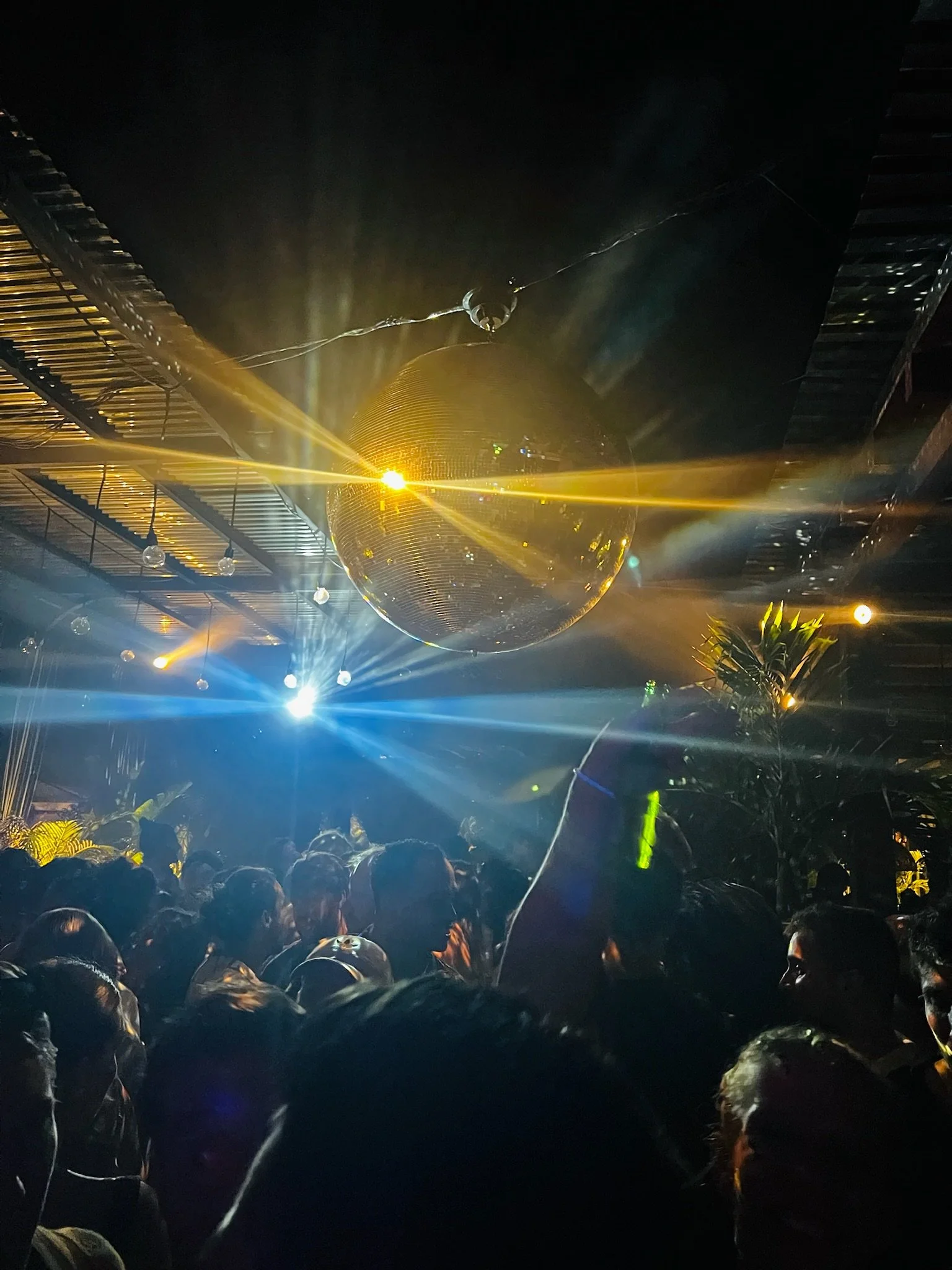 Copy of IMG_1552.JPG