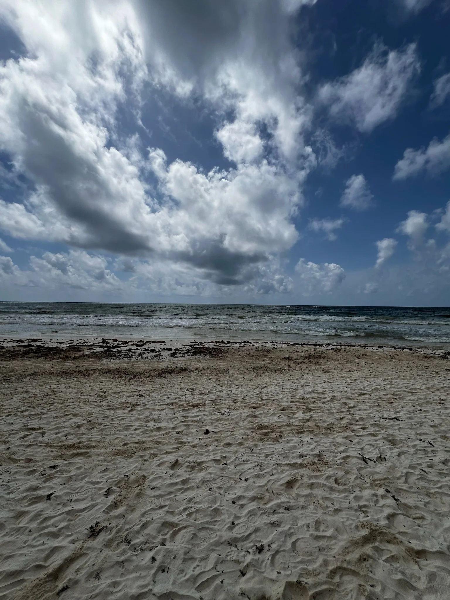 Copy of IMG_1386.JPG