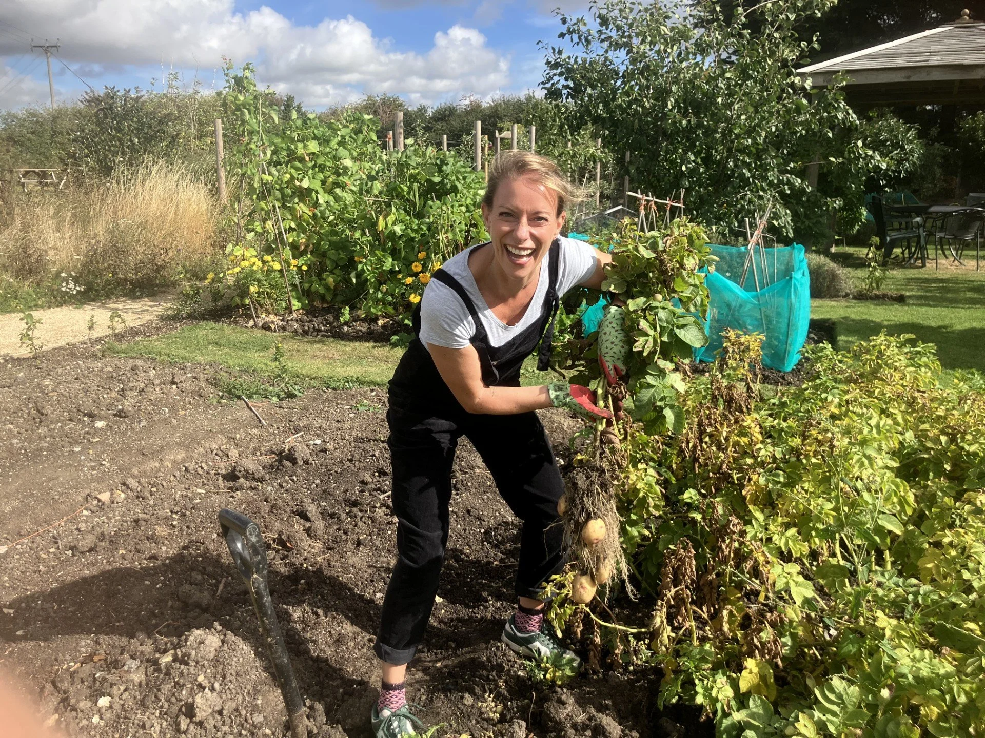 Lucy in the potato beds Photo Consent August 25.jpg