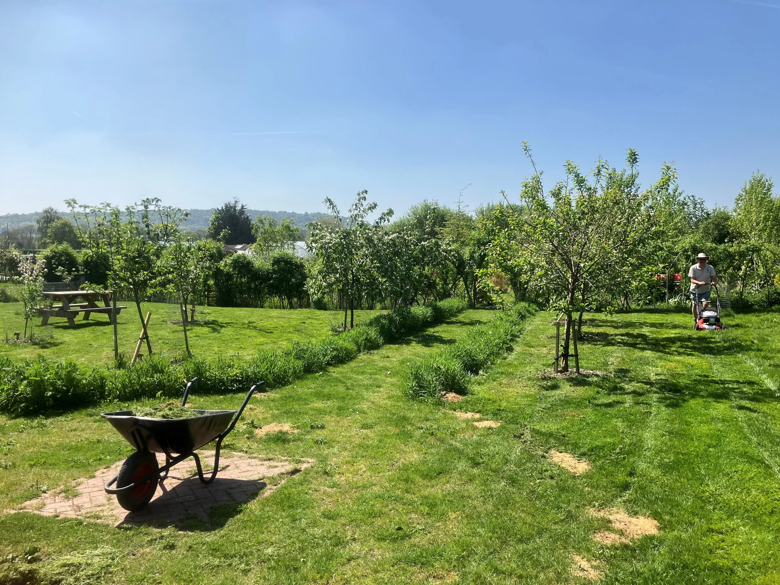 grass cutting spring 25.jpg