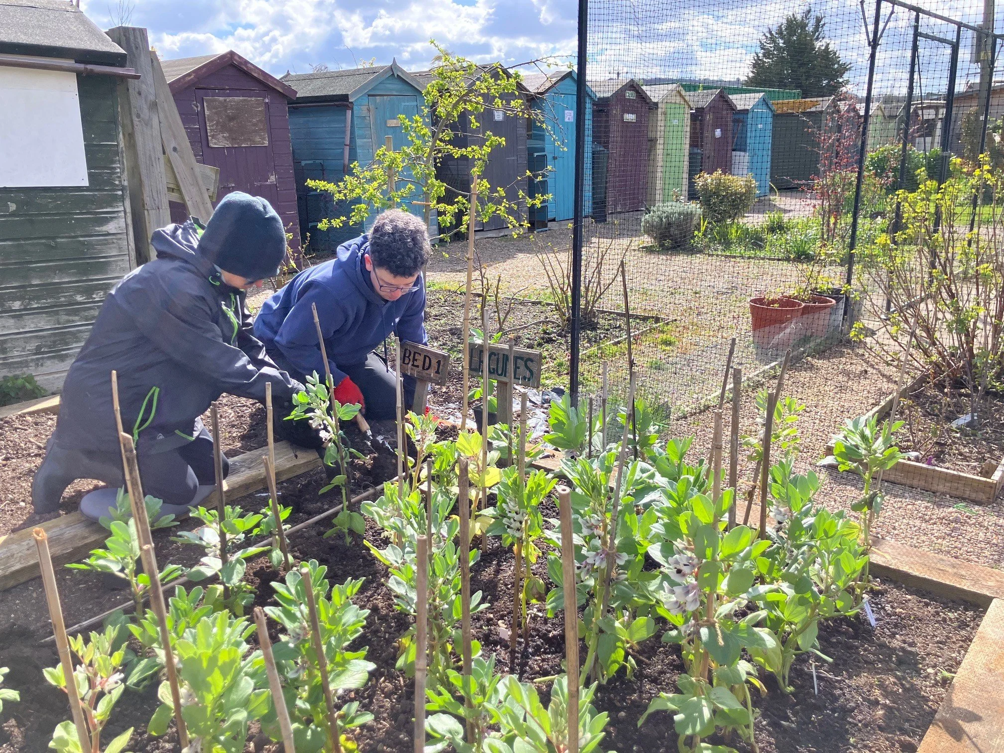 Seeds of Change Session 25032026 4.jpg