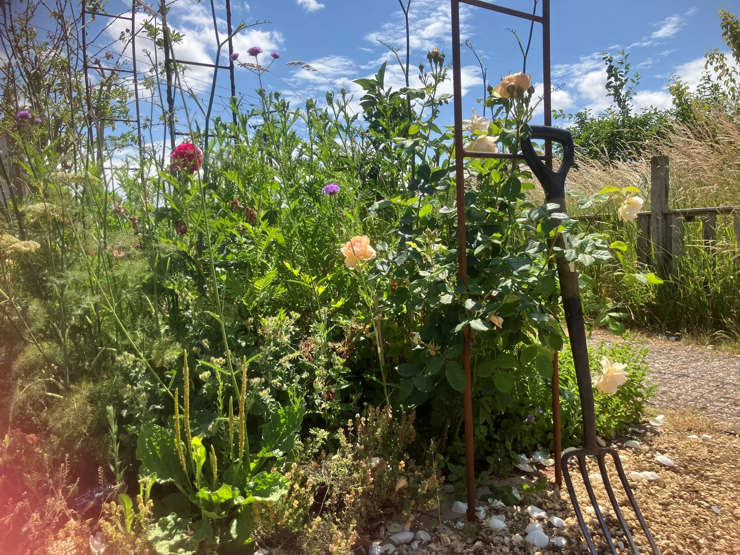 fork in the garden.jpg