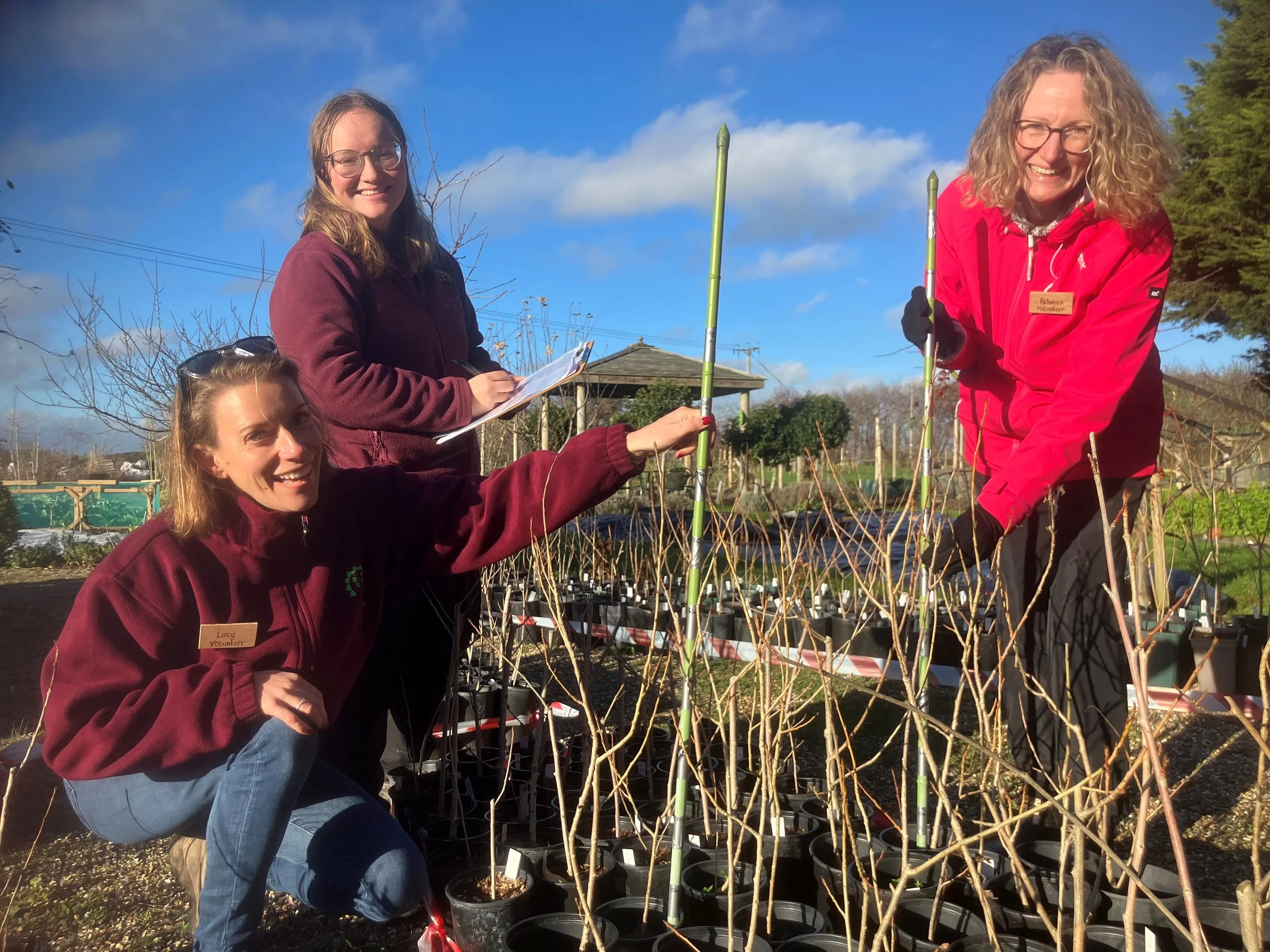Black Poplar Audit Dec 2025 2.jpg