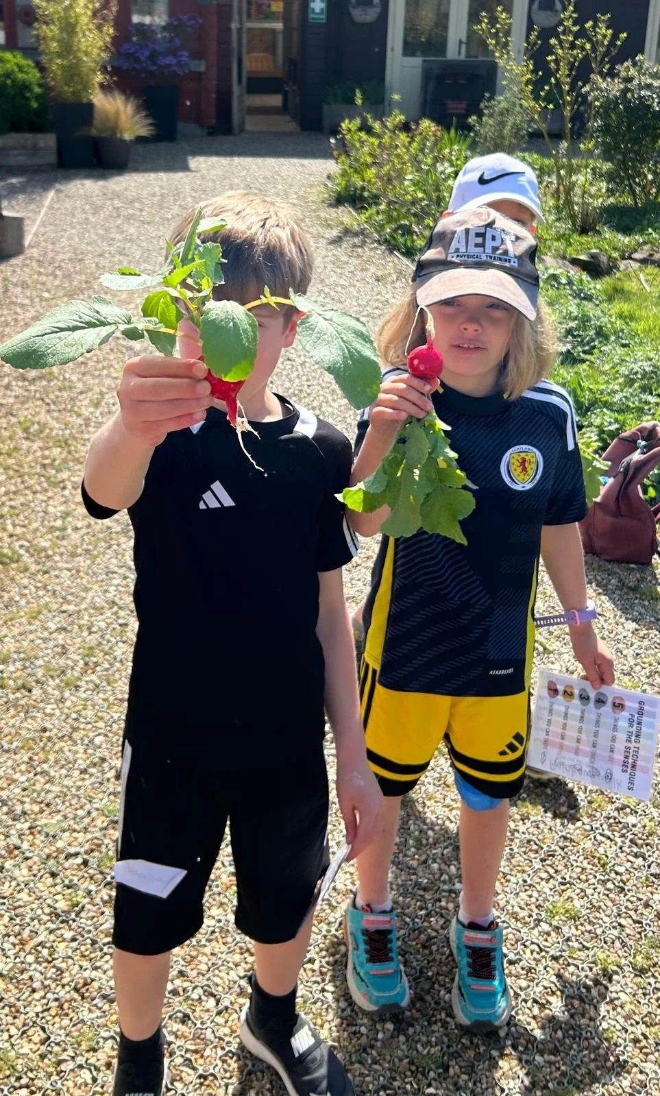 Nature Holiday Camp Wednesday raddishes.jpg