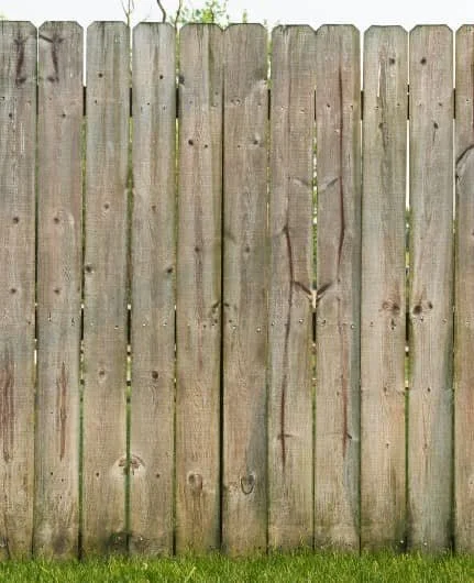 Wooden fence with vertical planks and green grass at the base.