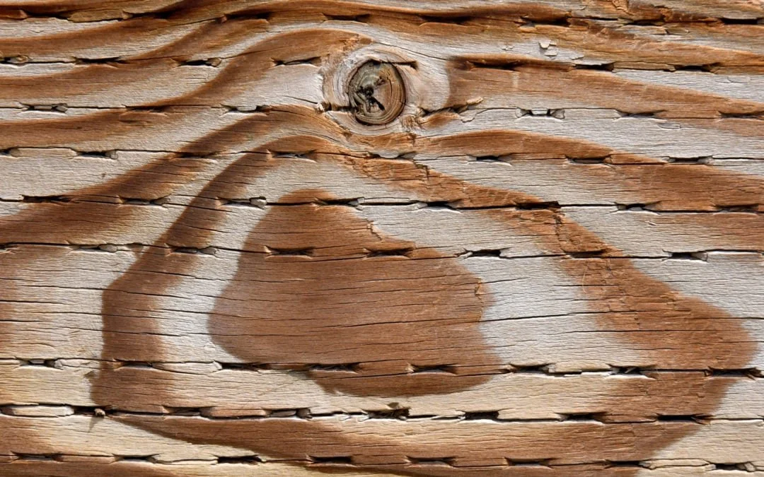 Madera tratada a presión