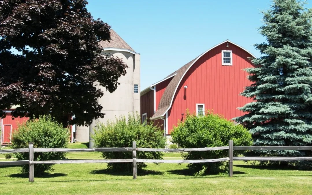 Decorating Your Yard