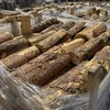 Colorado Springs Lumber Supplier | Lumber Yard in Colorado Springs ...