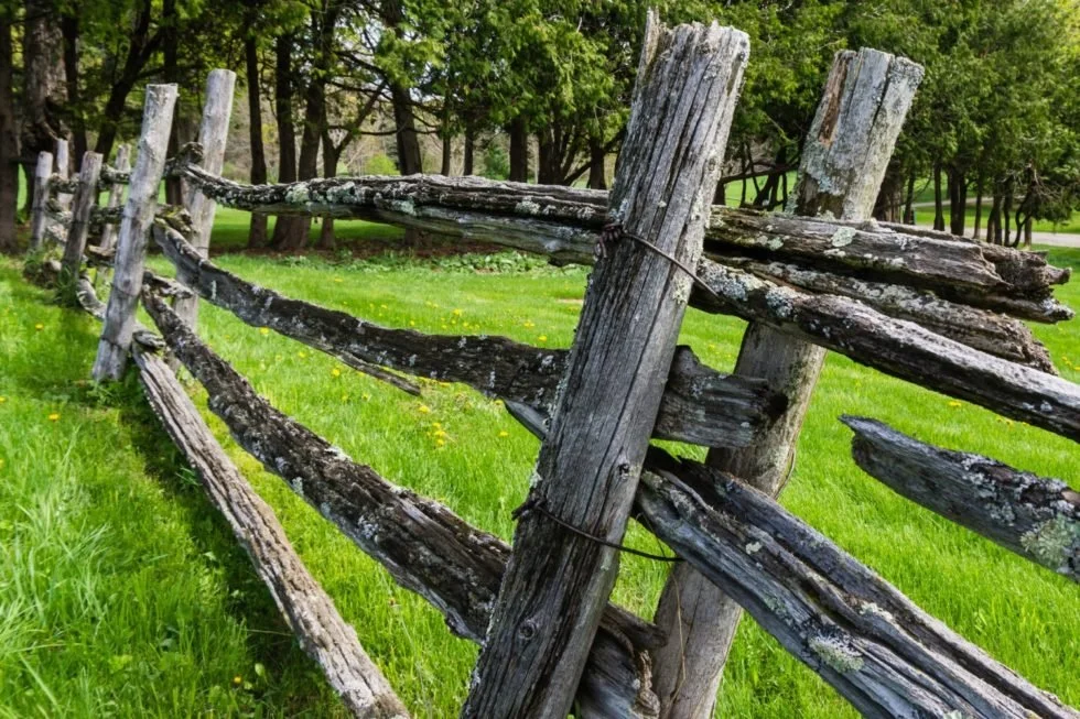 Re-purposing Split Rail Fence