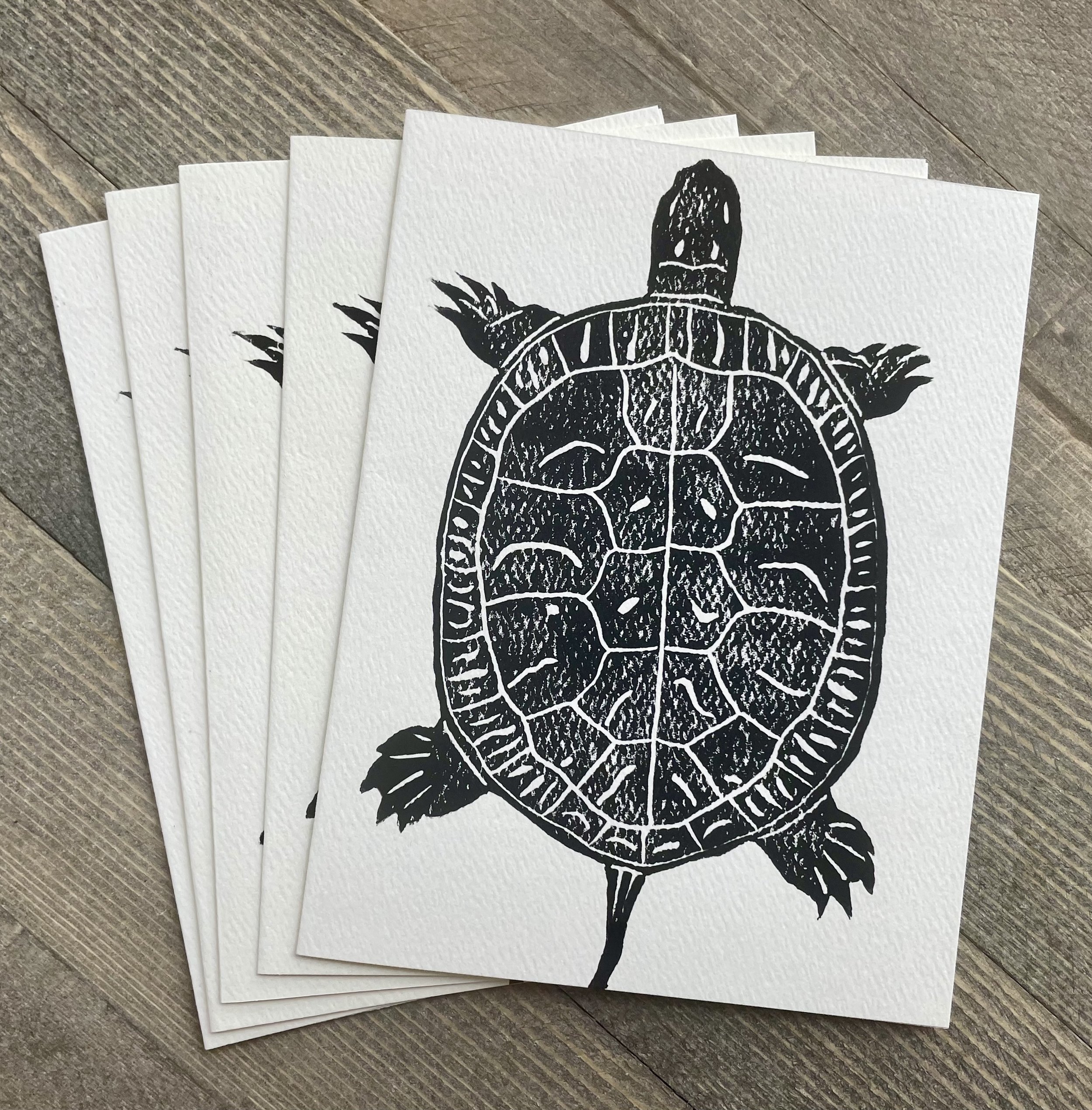 The Turtle