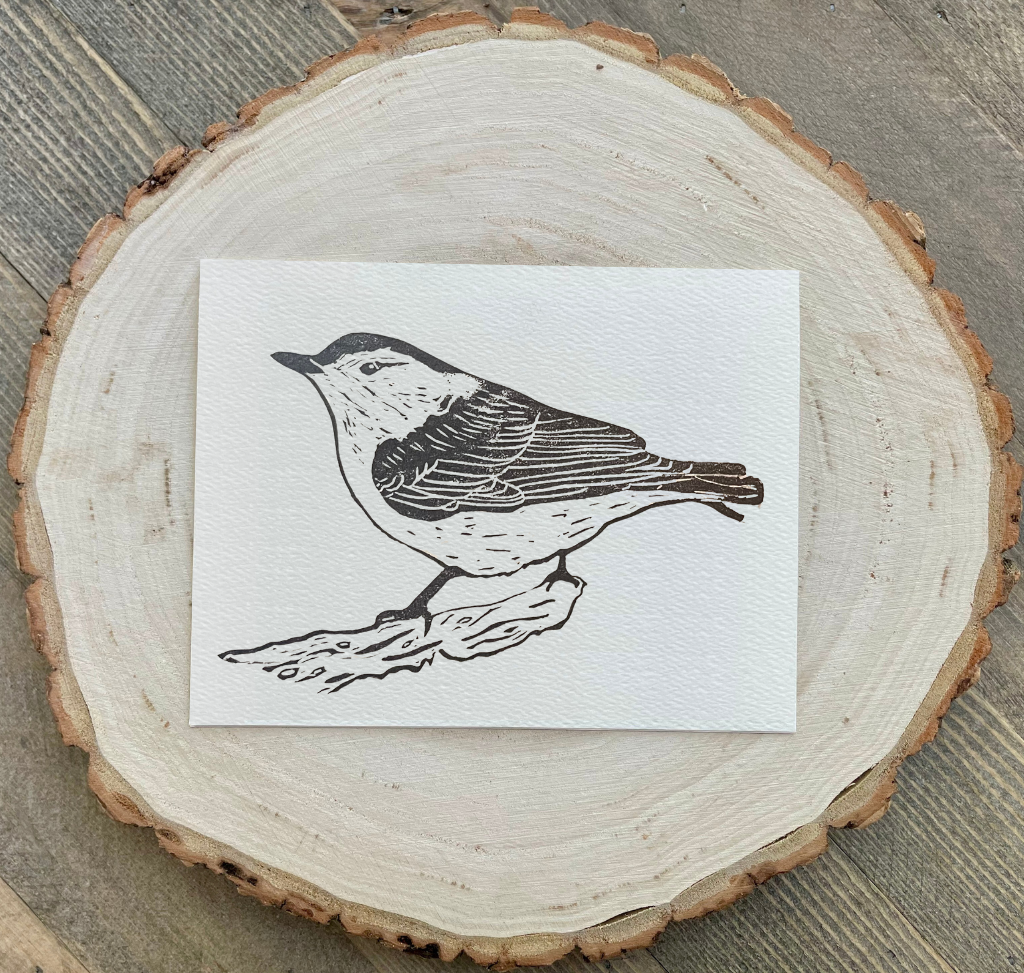 Nuthatch