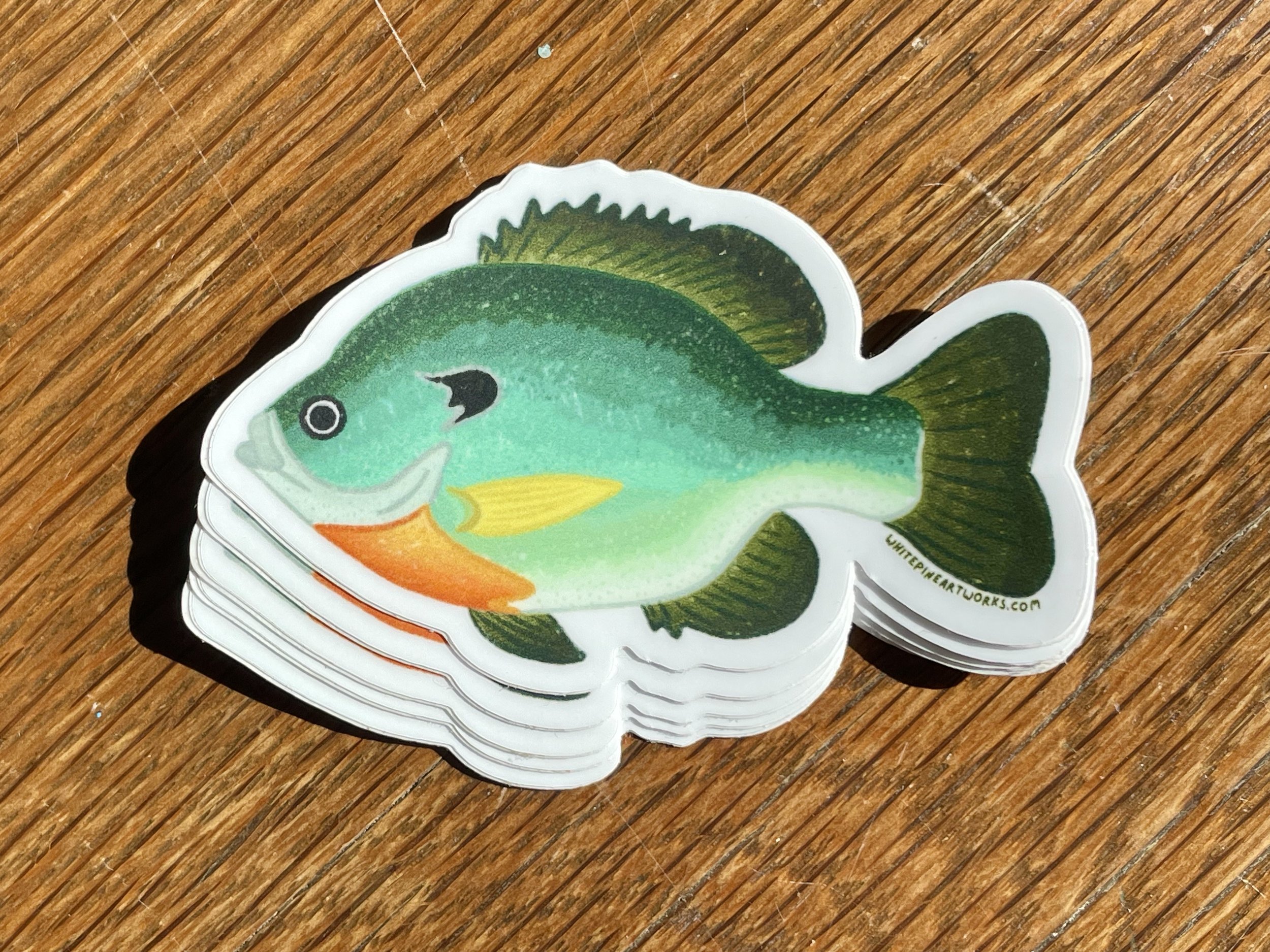 The Bluegill - Sticker