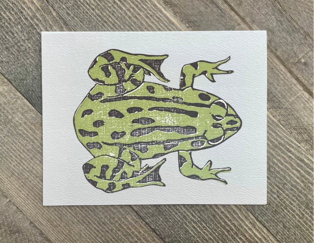 The Frog