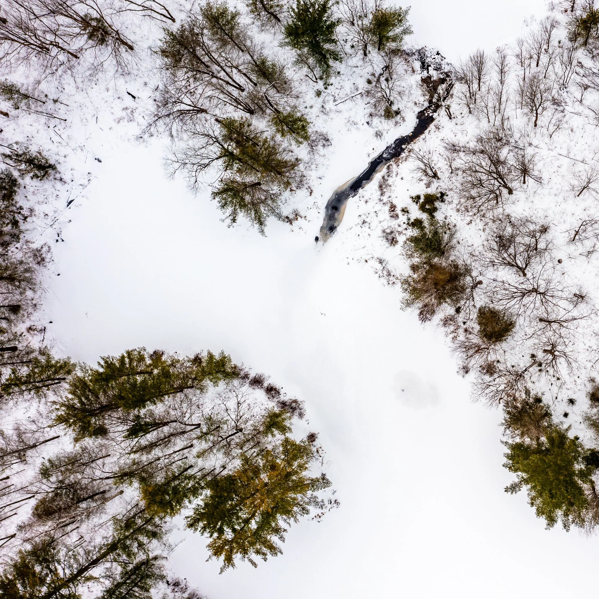 Aerial Landscape-0668.jpg