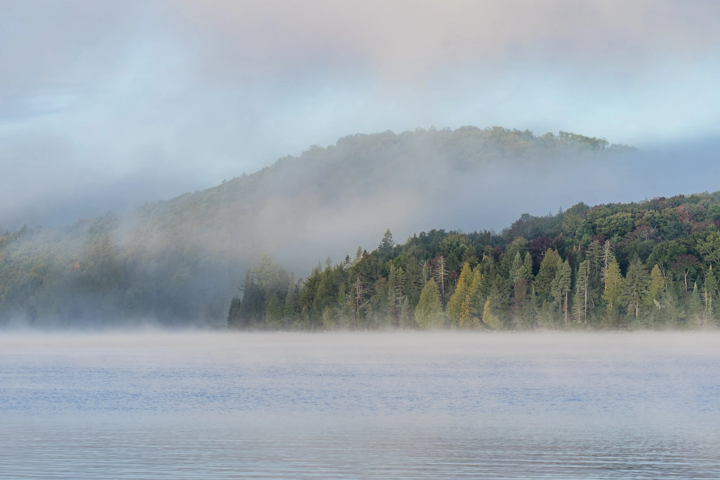 ALGONQUIN -17.jpg