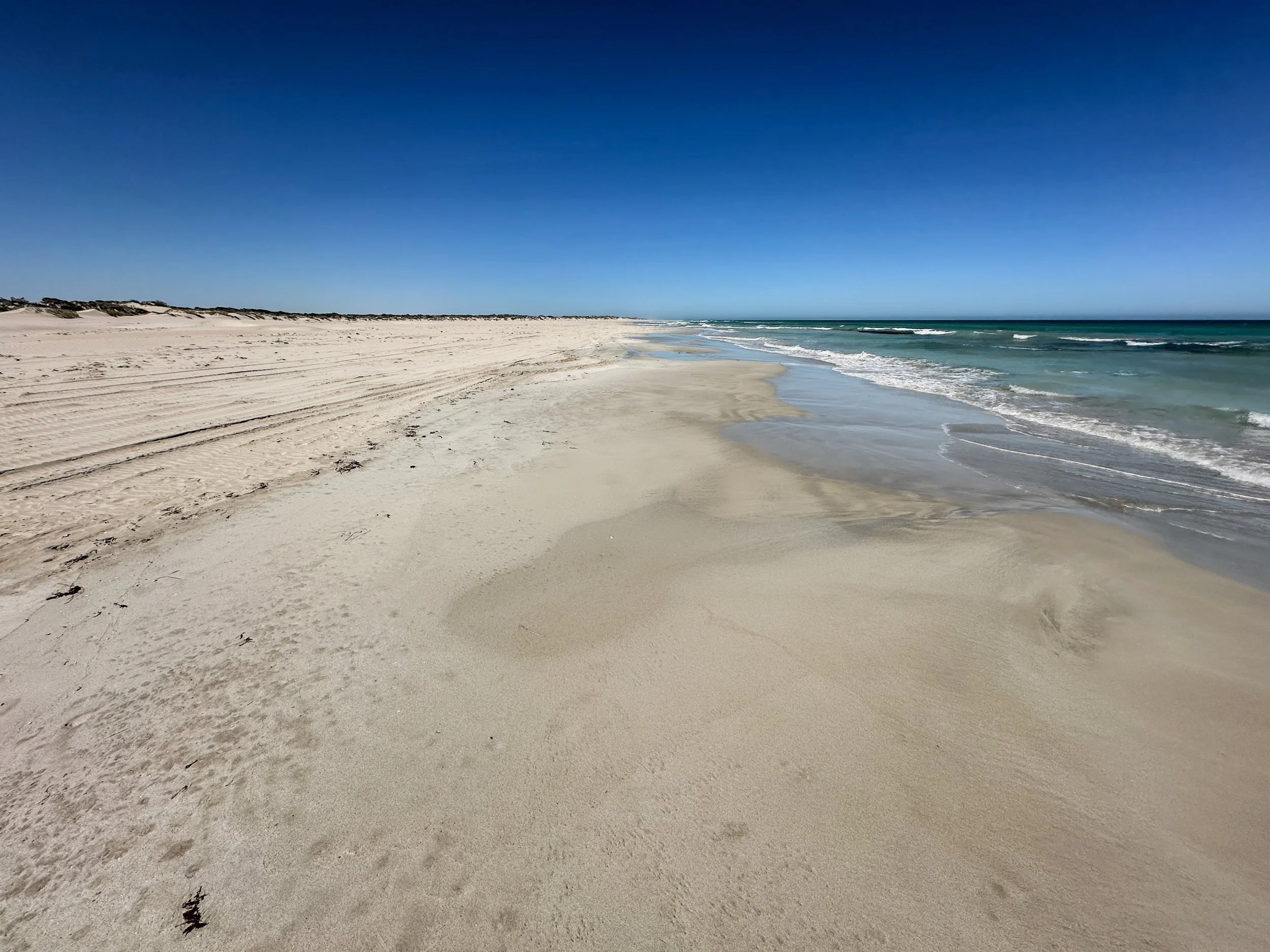 Western Australia-1639.jpg