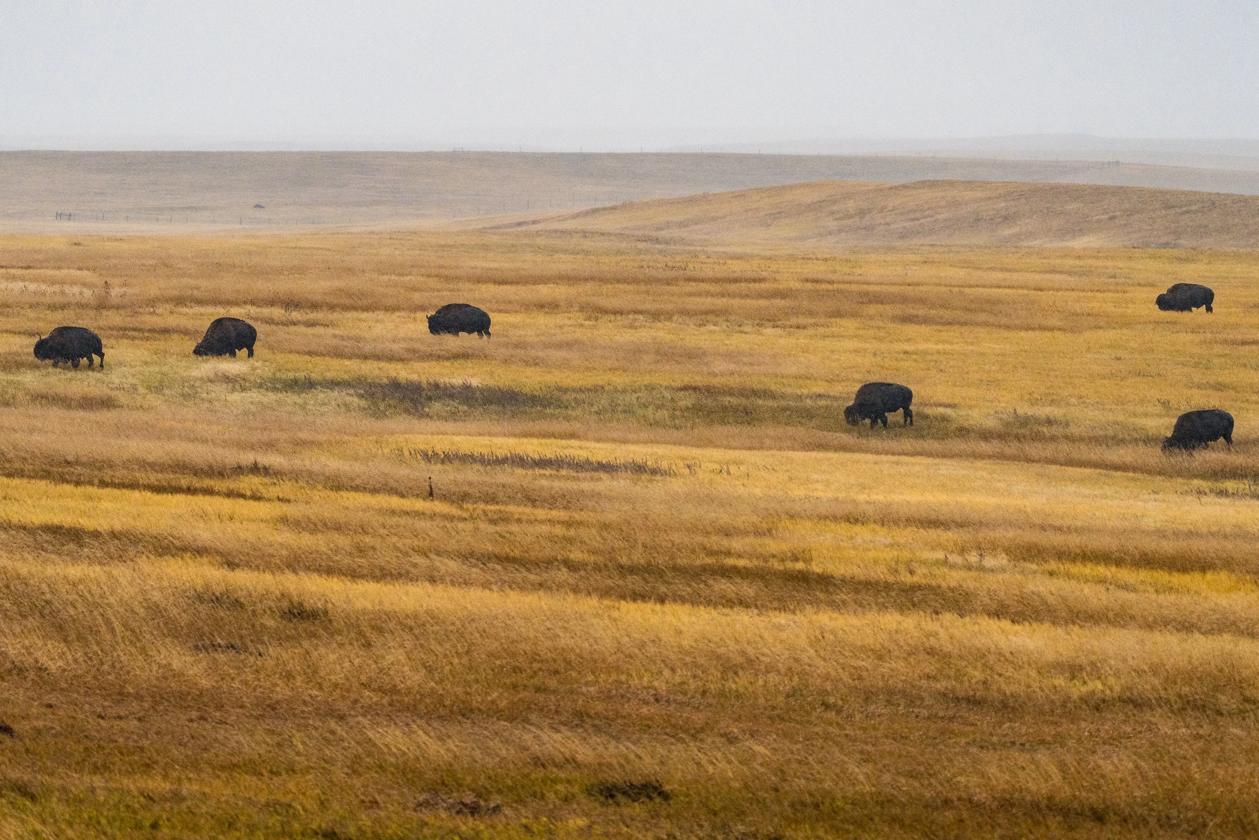 Badlands-10.jpg