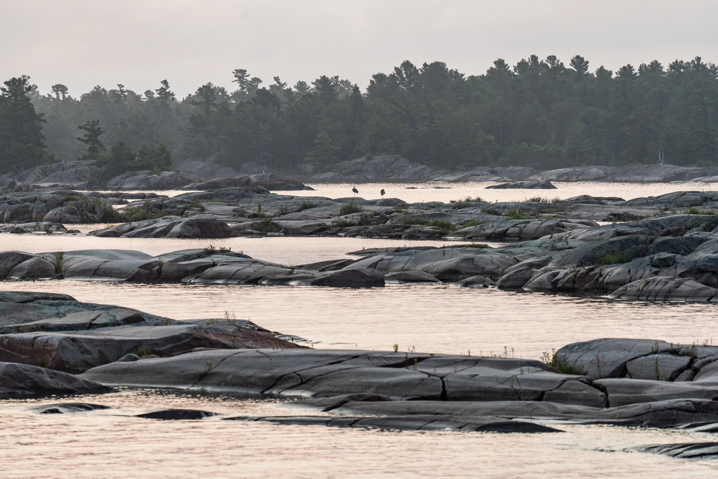 GB Landscape-2-3.jpg