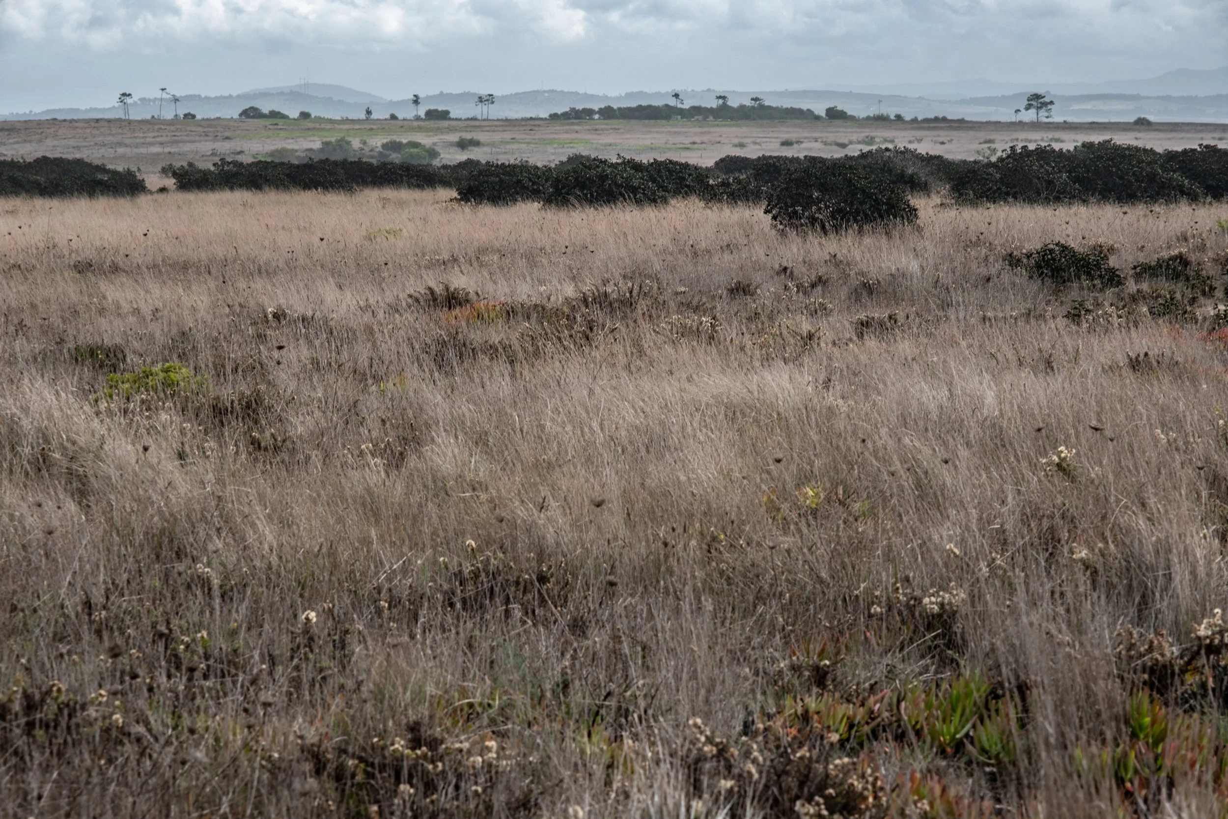 Rota Vicentina-5433.jpg