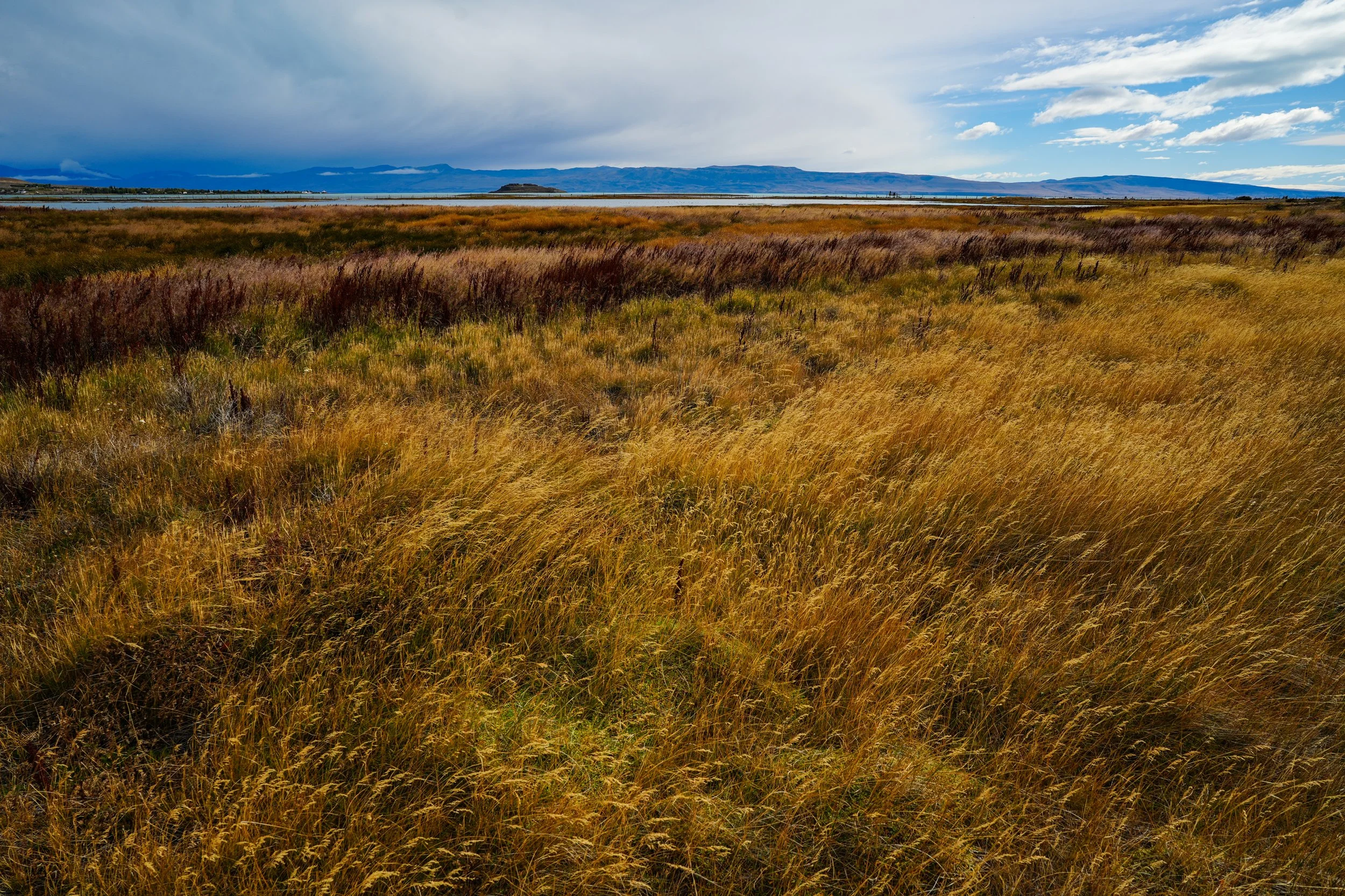 Patagonia-03852.jpg