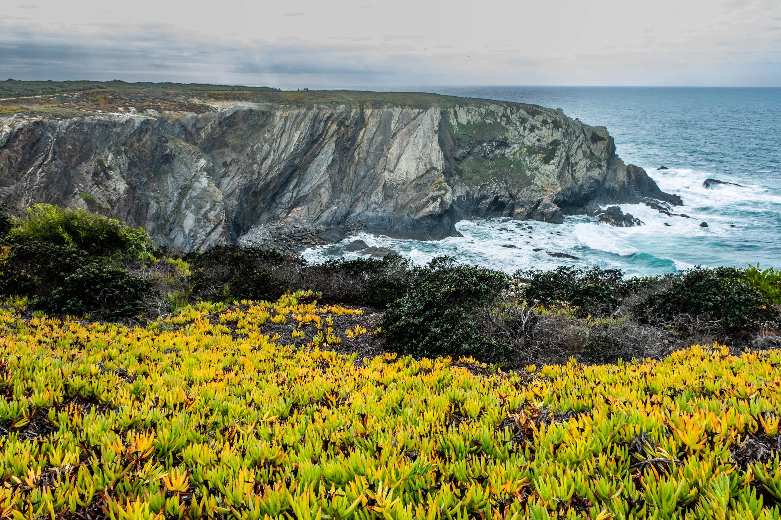 Rota Vicentina-5431.jpg