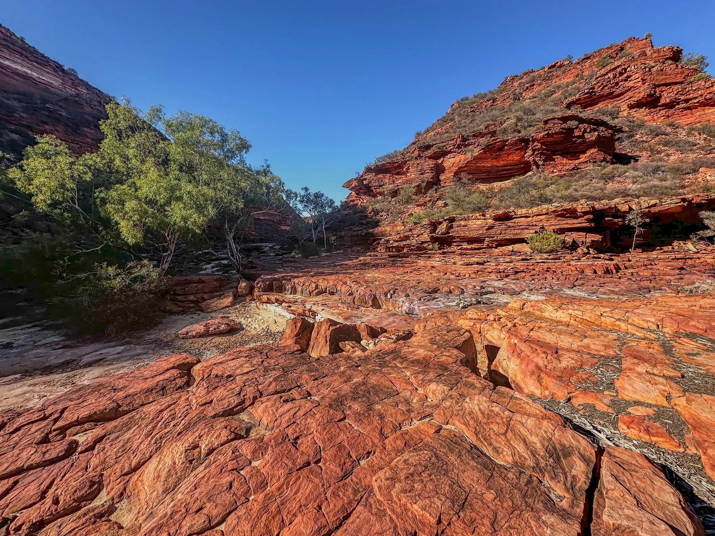 Western Australia-1537.jpg