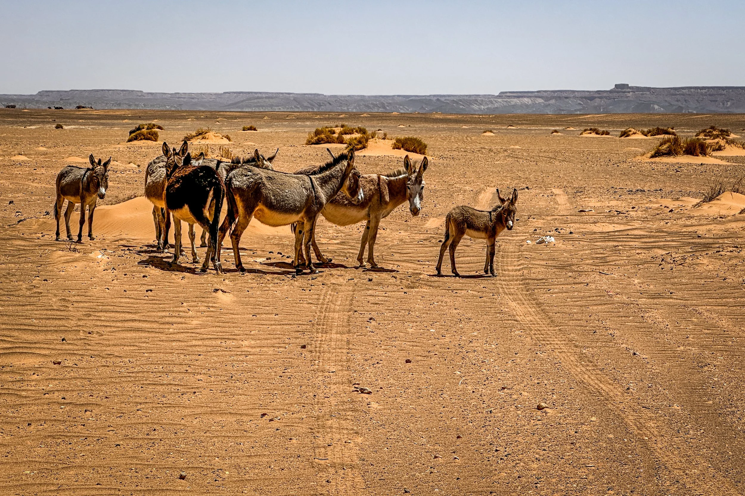 Morocco-8047.jpg