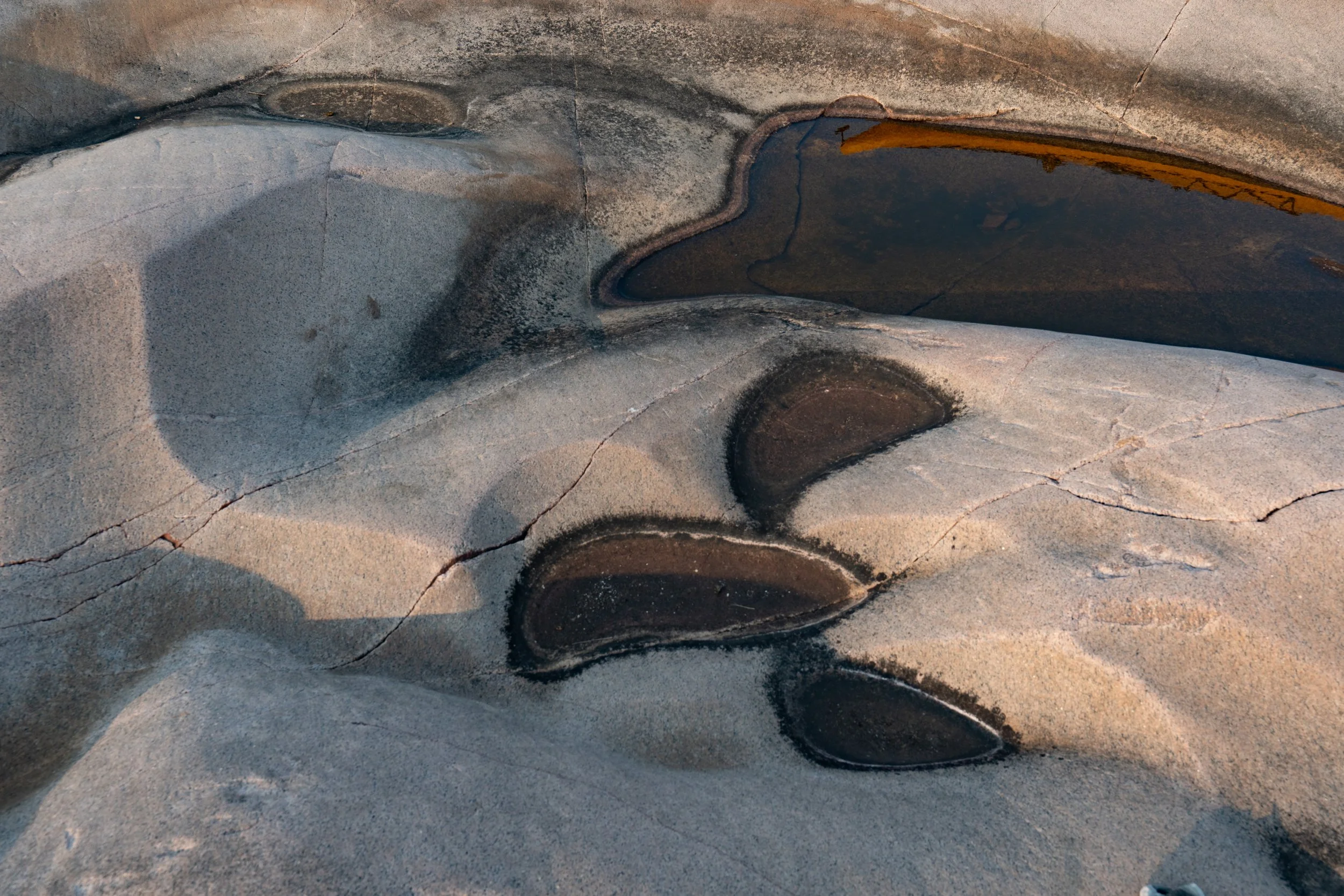 GB Closeup-2.jpg