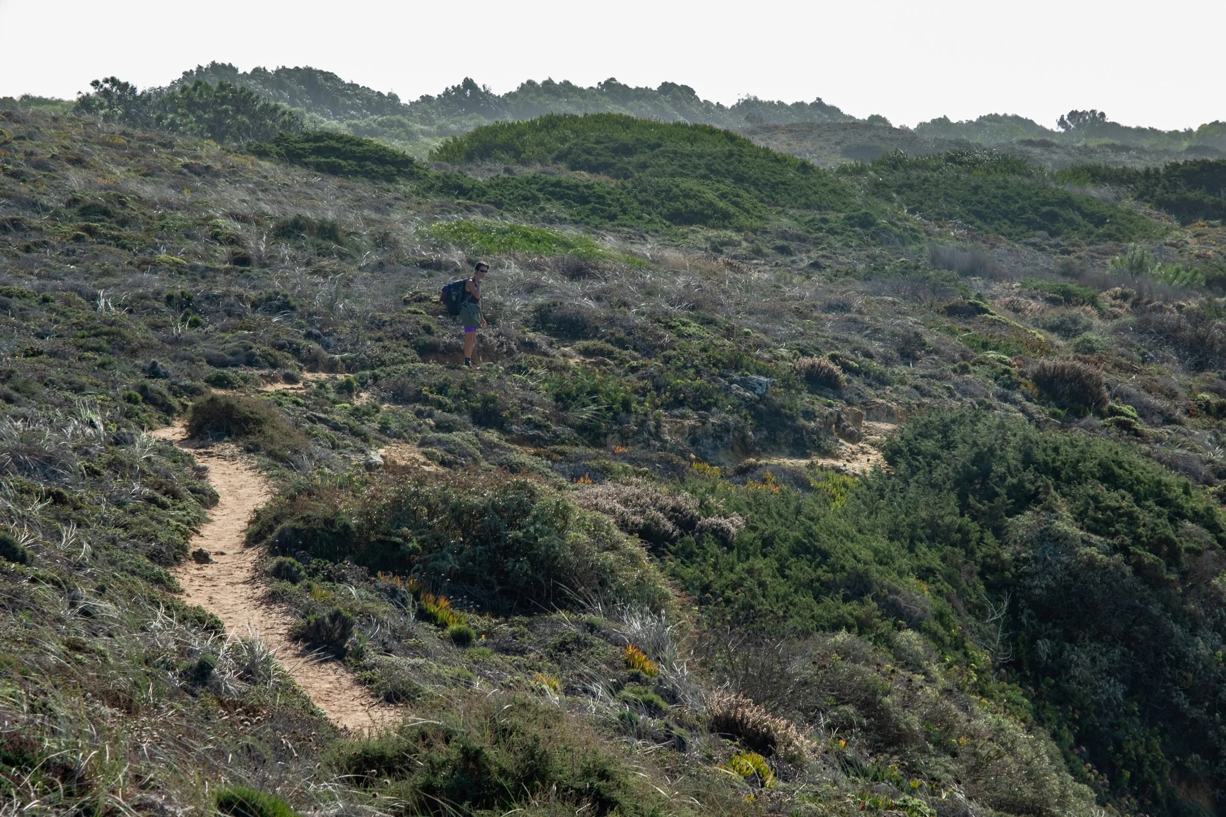 Rota Vicentina-5510.jpg