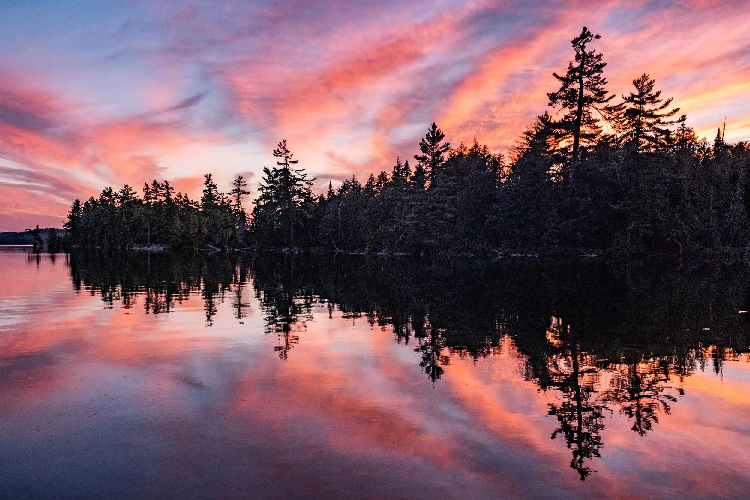 Algonquin Park-1673.jpg