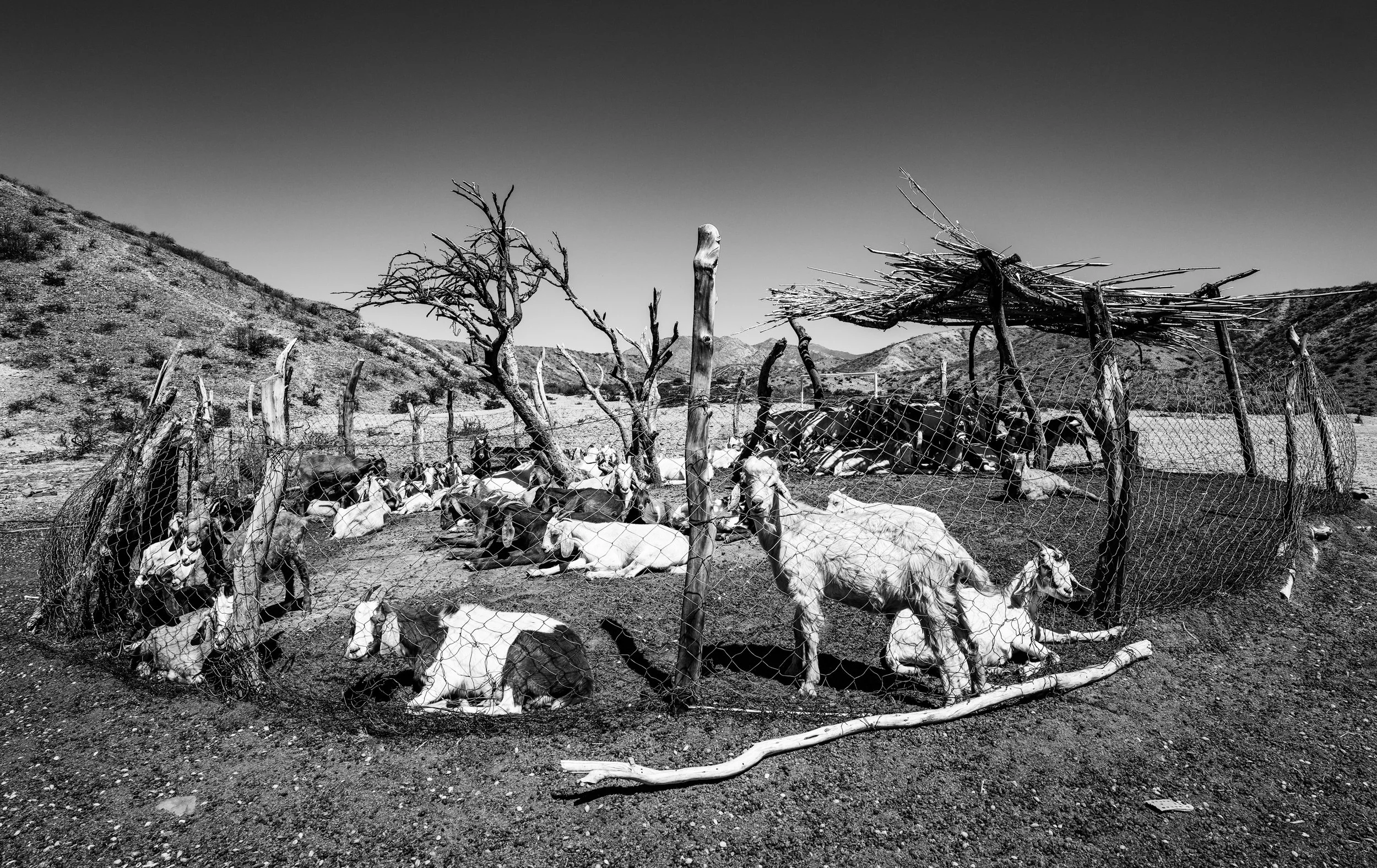 Northen Argentina-04331.jpg