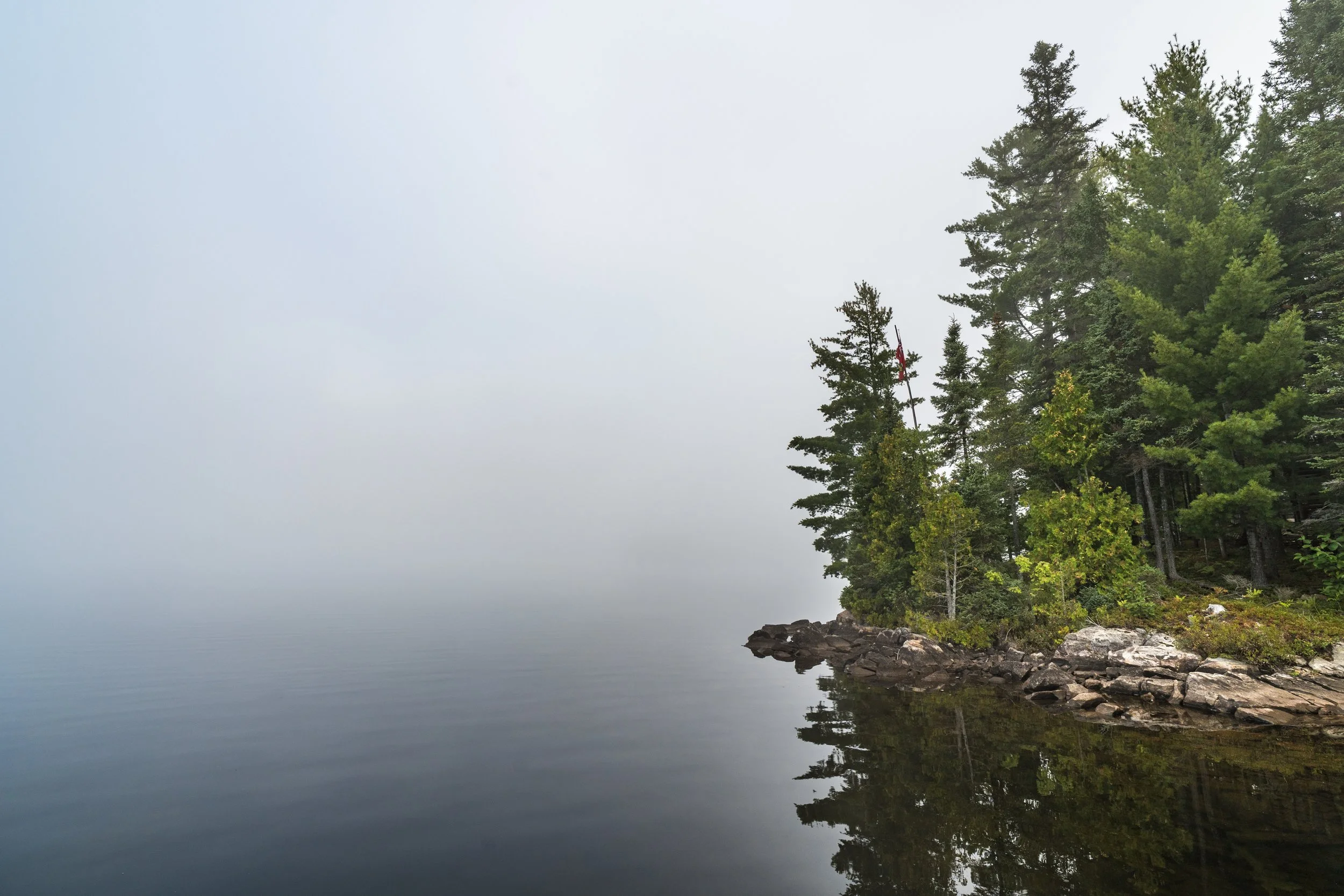 ALGONQUIN -.jpg