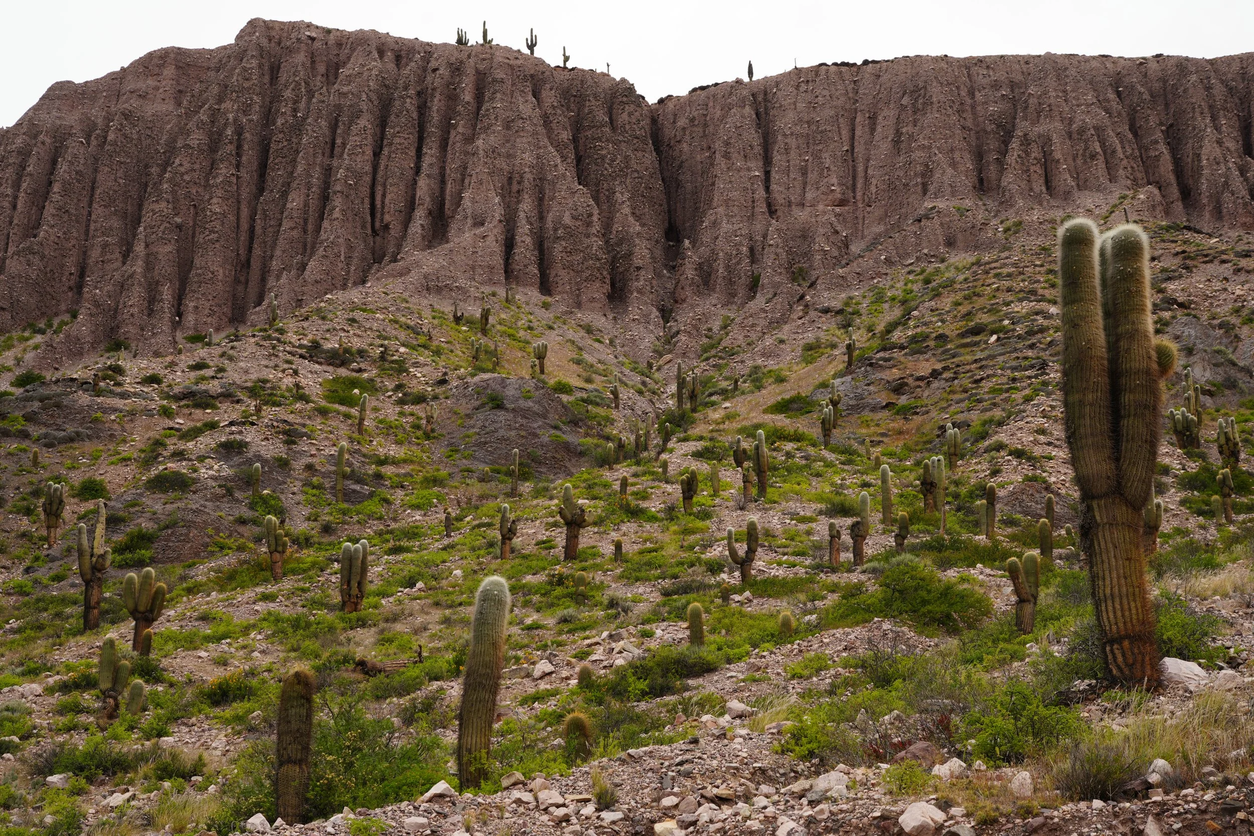 Northen Argentina-04694.jpg
