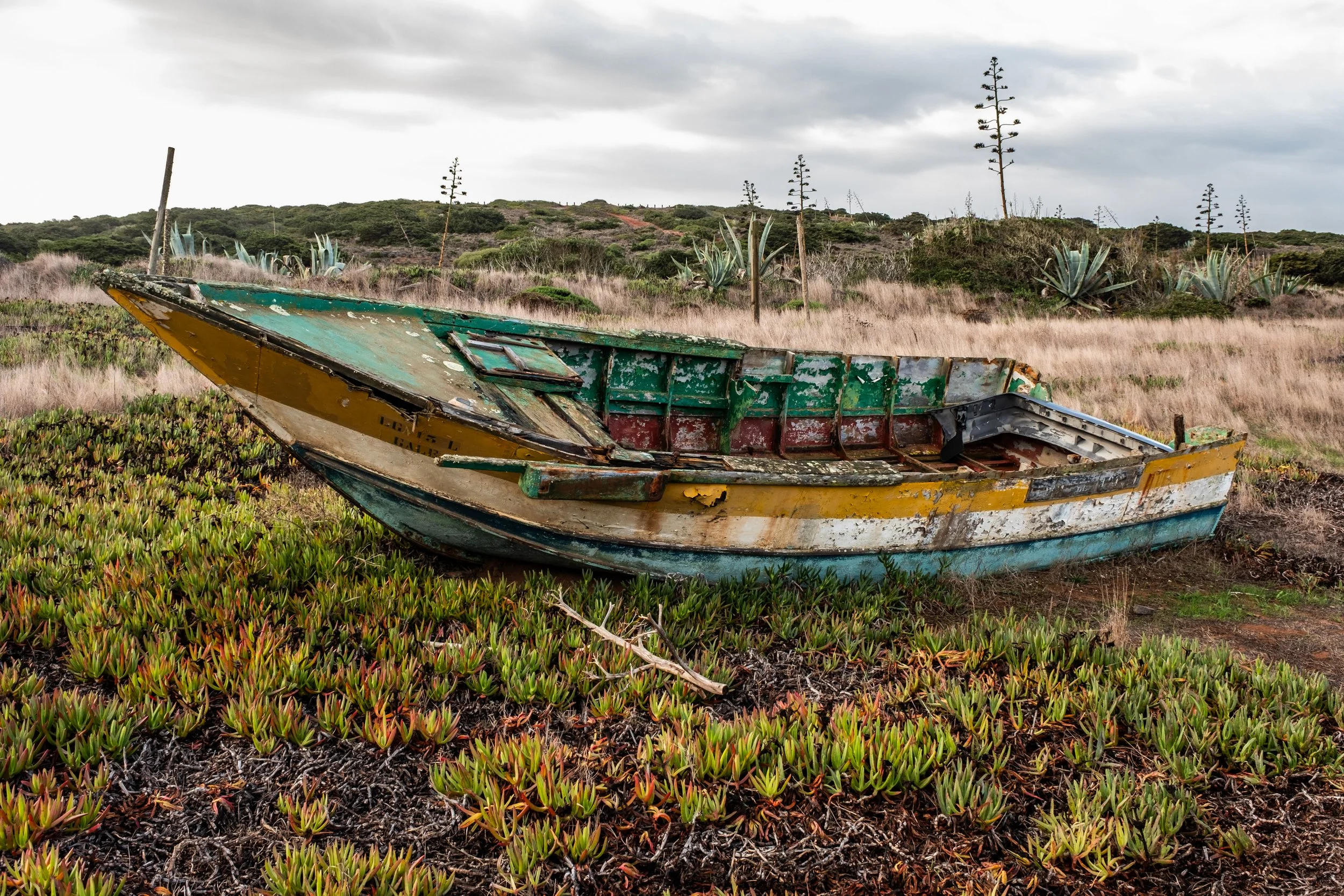 Rota Vicentina-5605.jpg