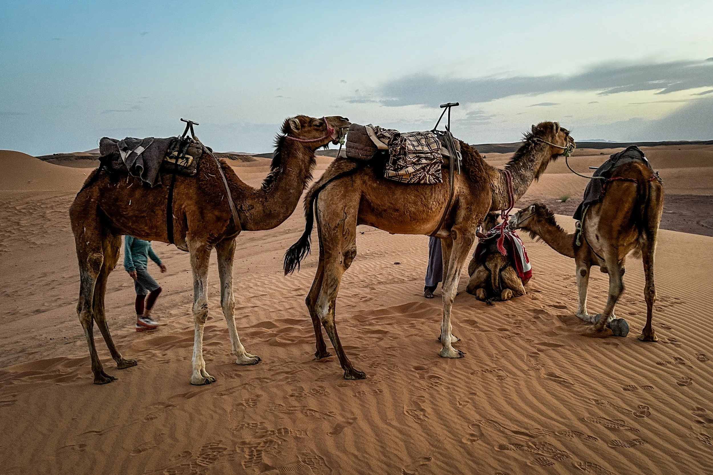 Morocco-8305.jpg