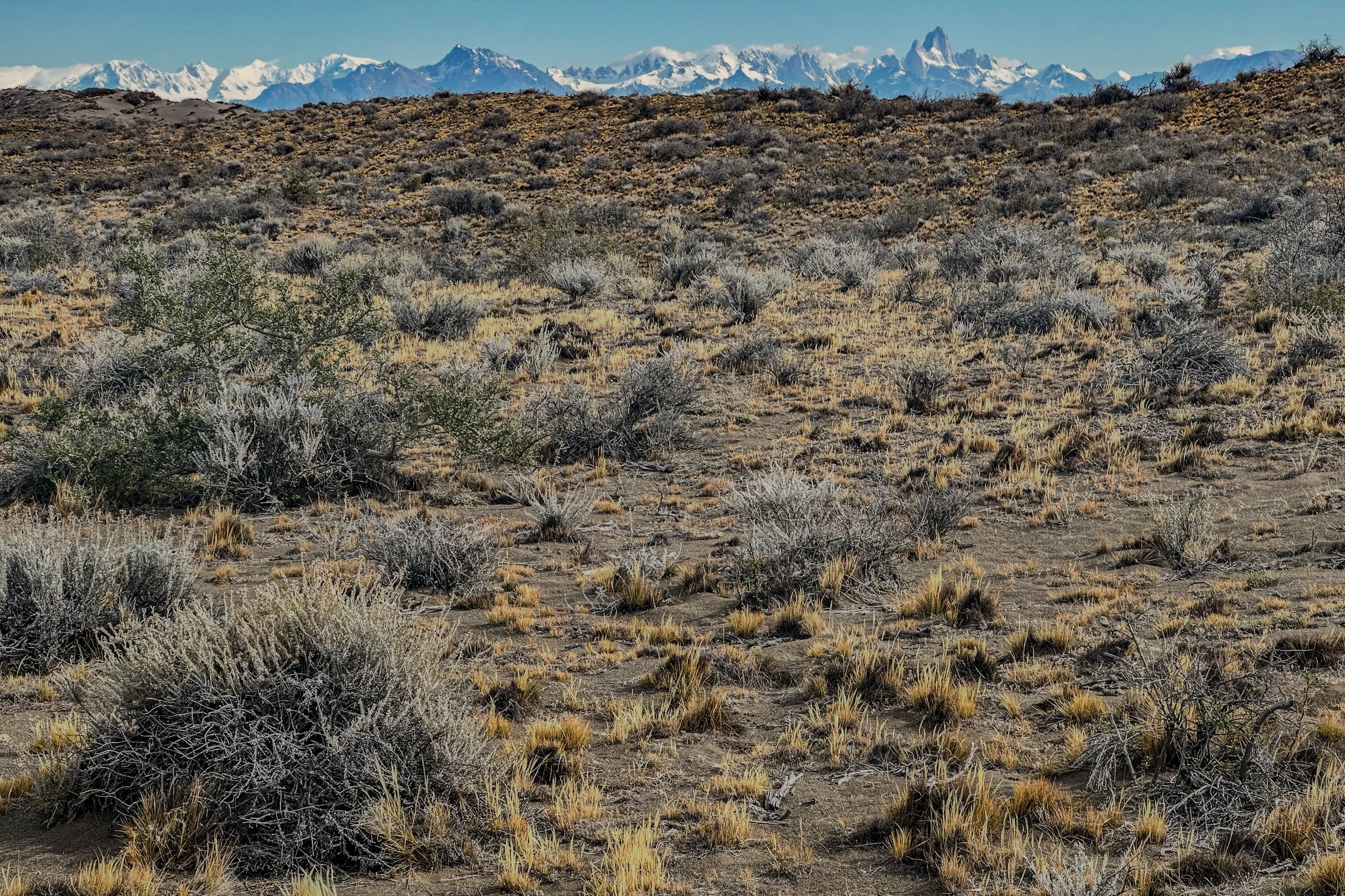 Patagonia-4868.jpg