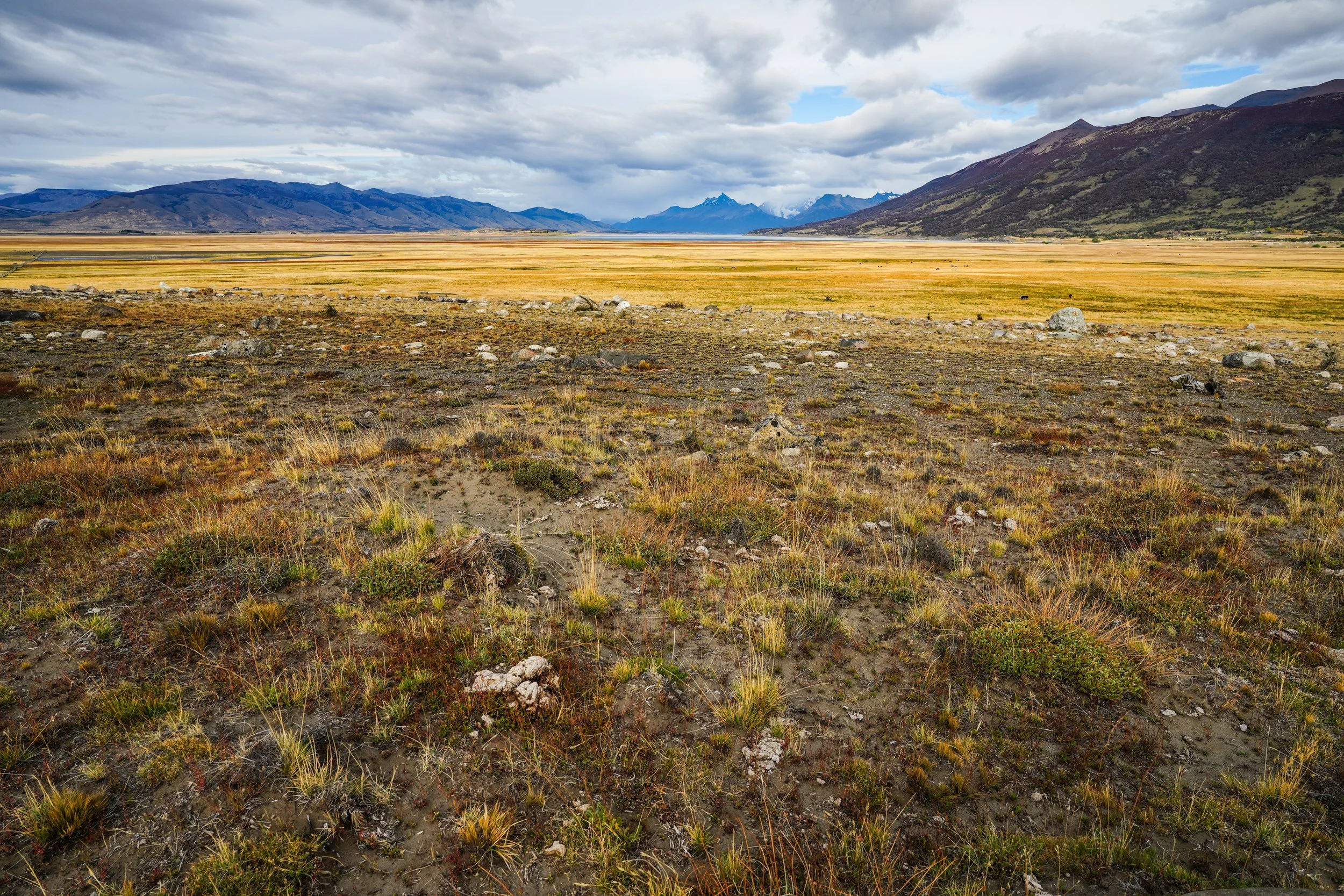 Patagonia-04041.jpg