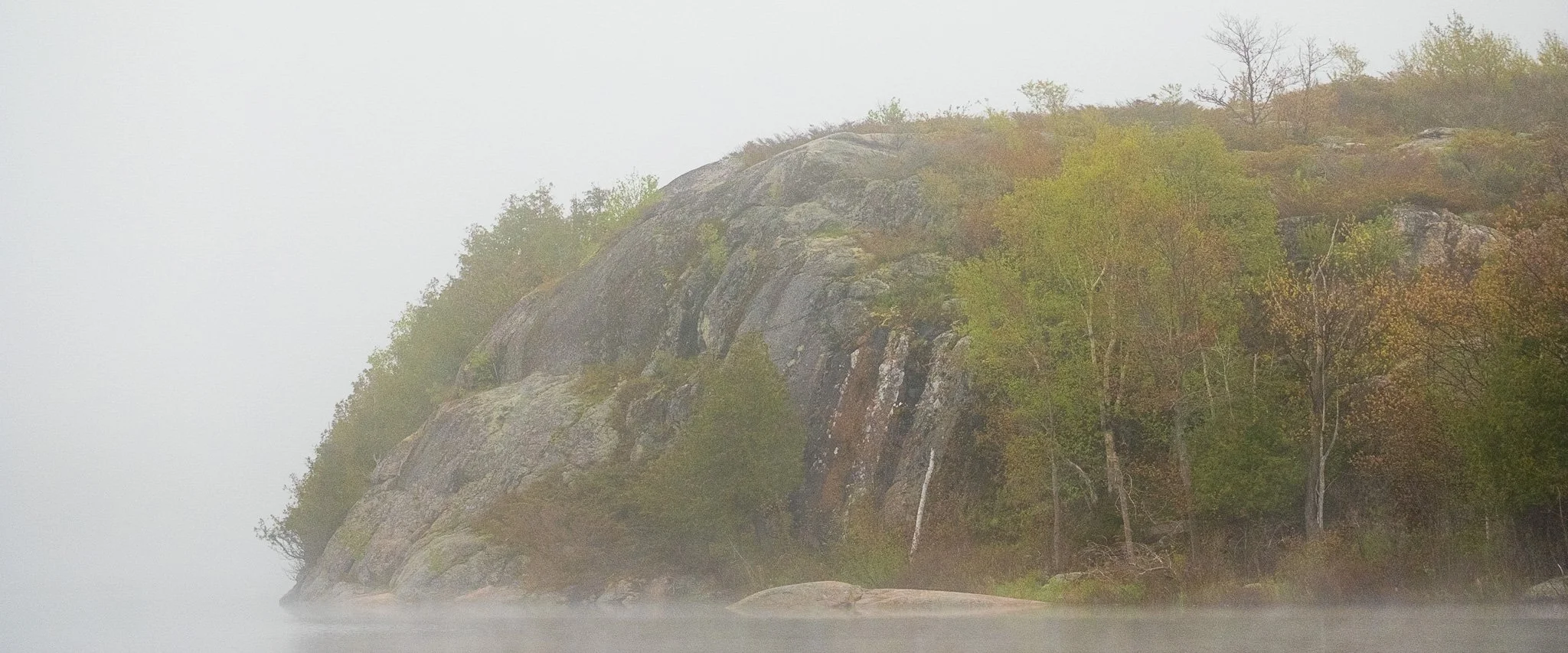 DSCF3779.jpg