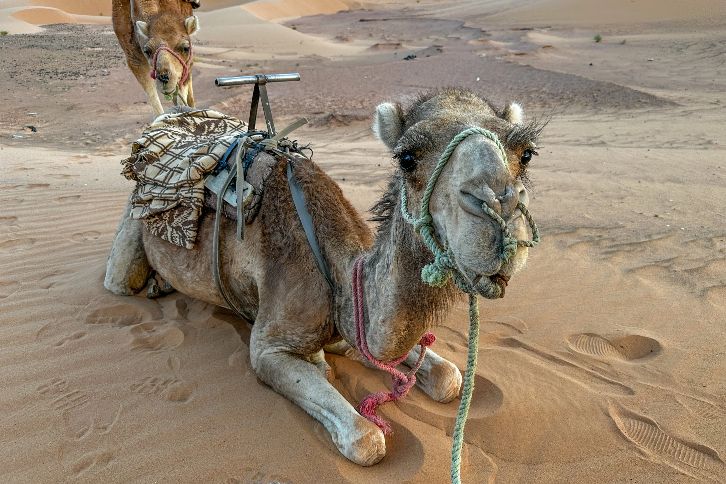 Morocco-8256.jpg