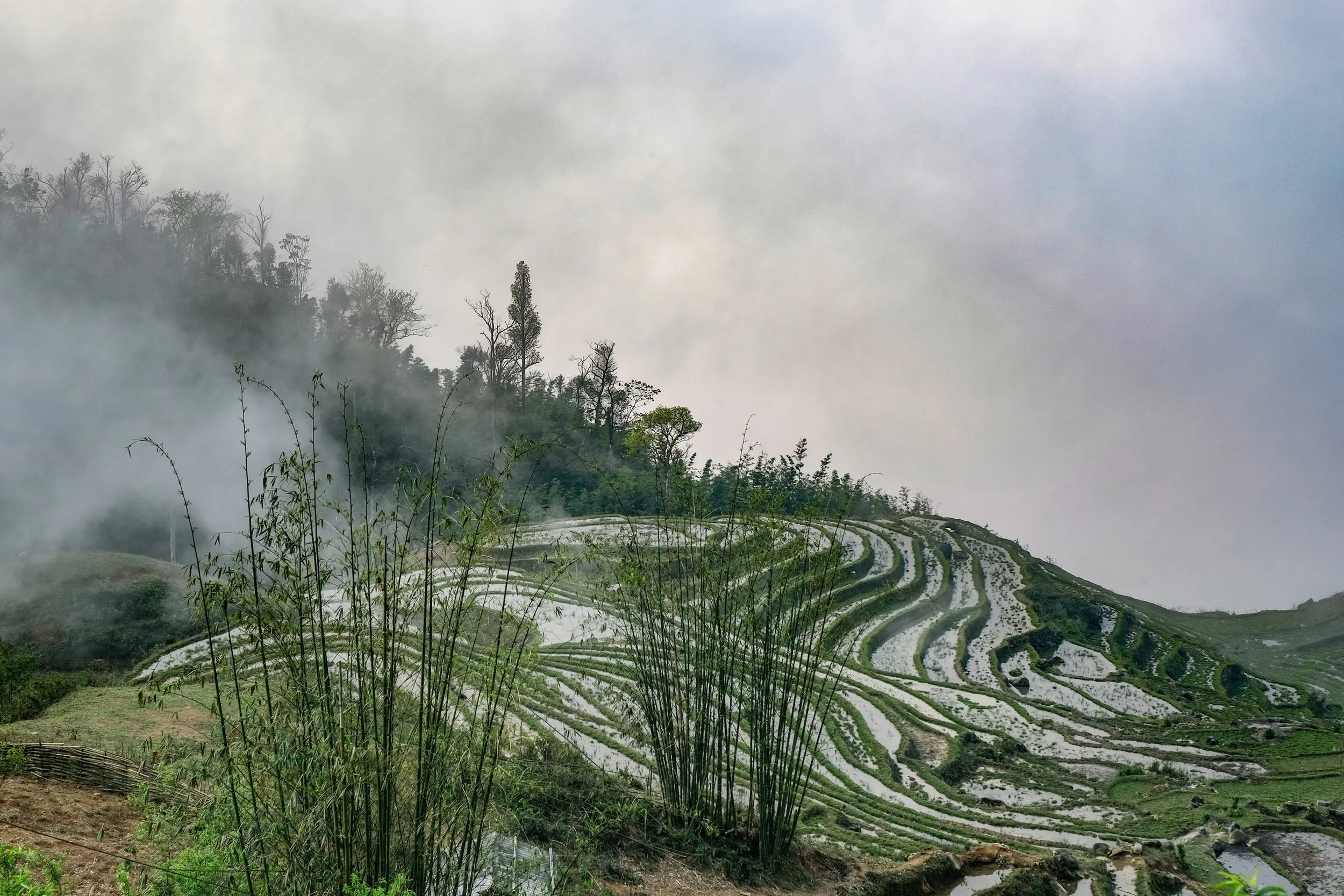 As we walked up into the clouds the hills were lined with rice paddies